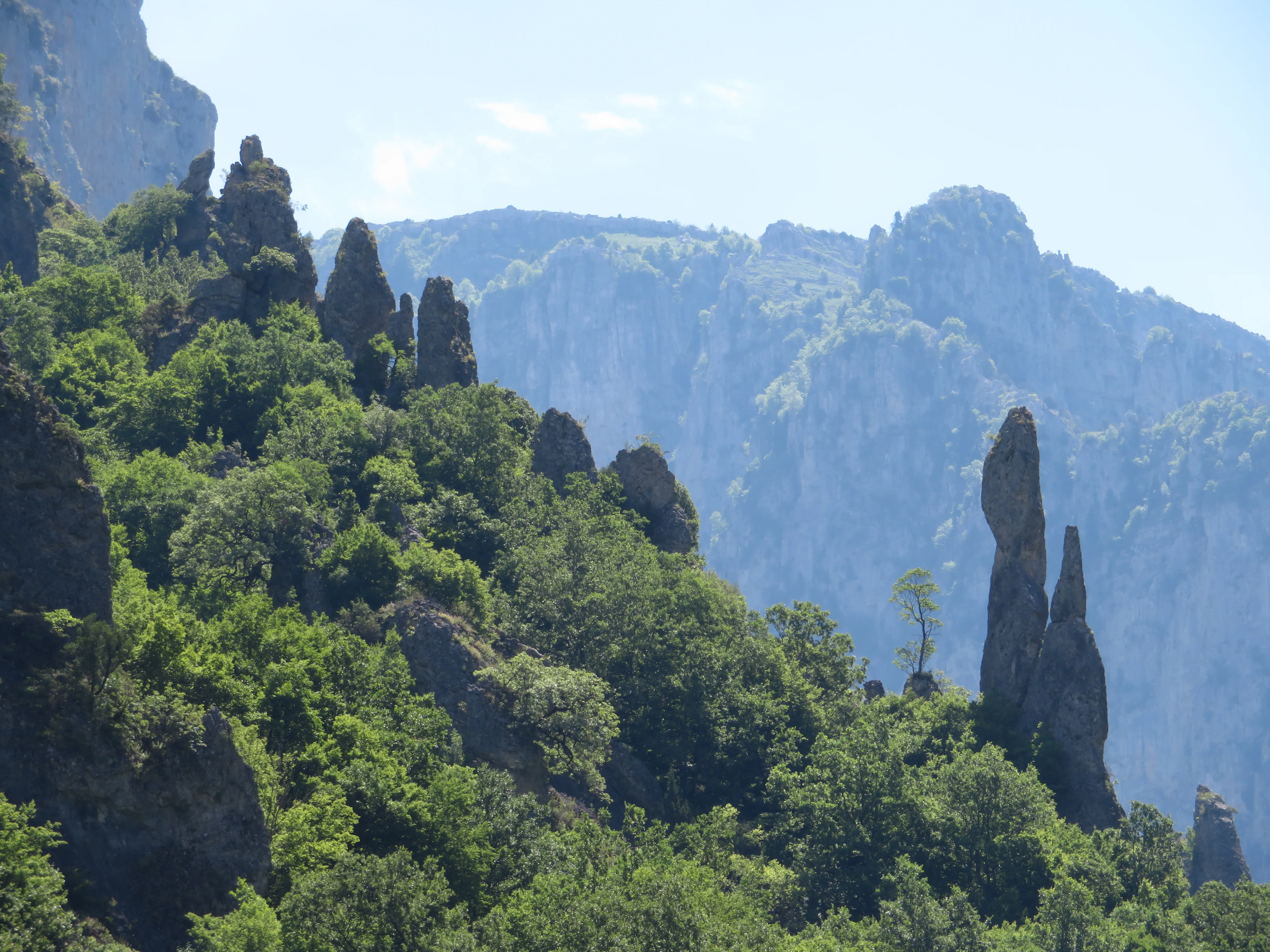 Dramatic rocky peaks rising above lush forest slopes near the famous Vikos Gorge in Epirus, Greece.