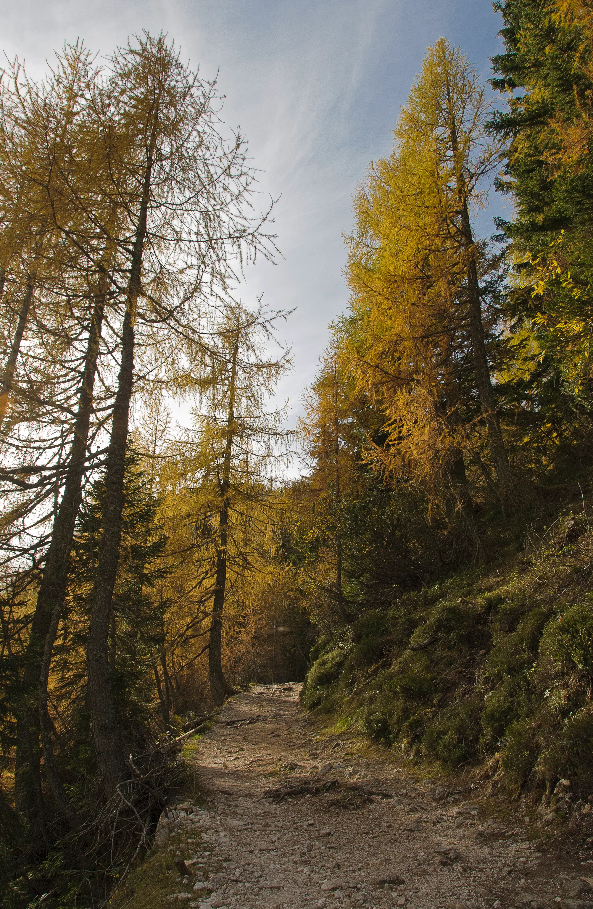 Quiet forest clearing with small pond and panoramic views in the Julian Alps, Slovenia – scenic stop on a walking tour.