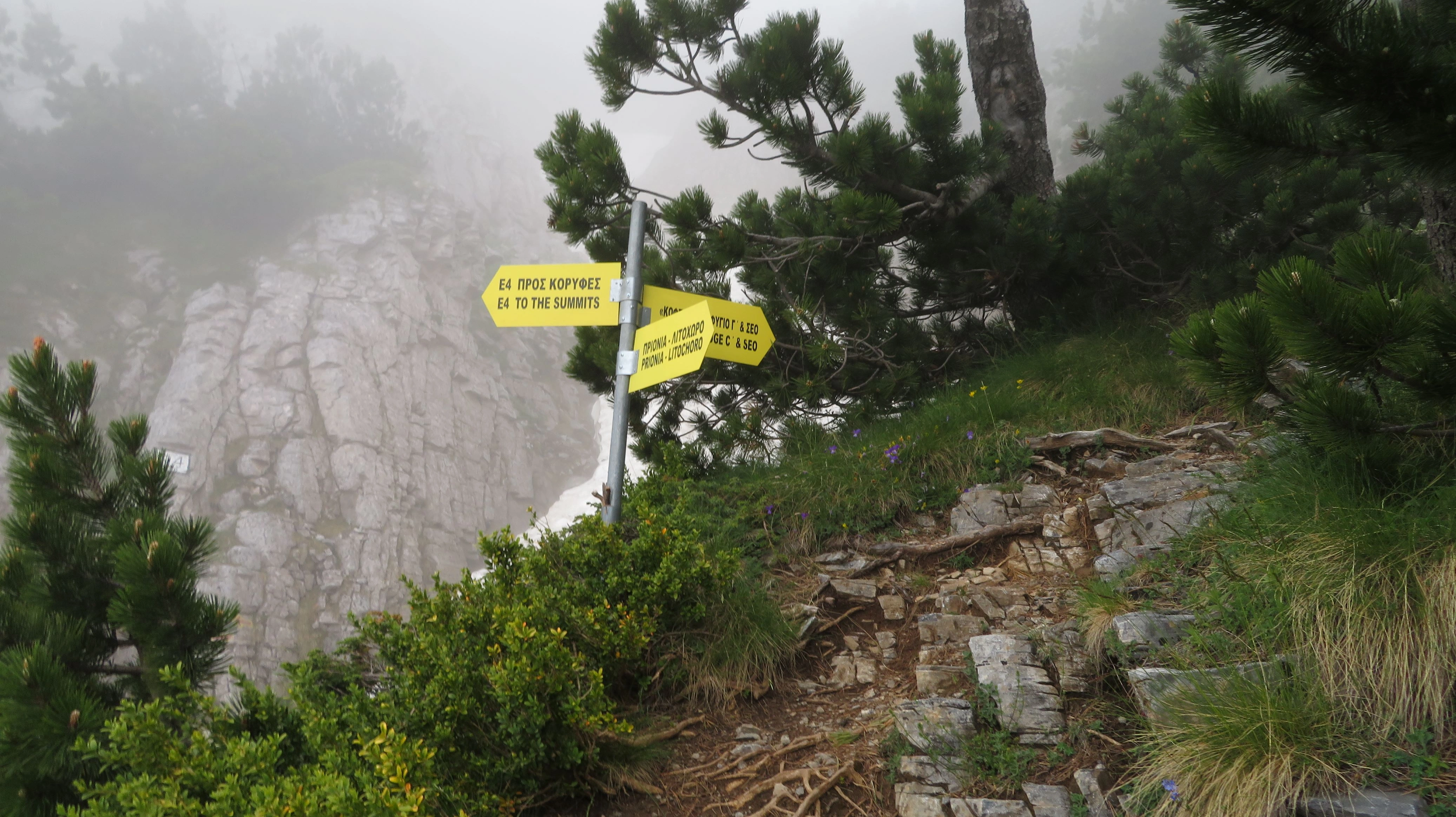 Yellow trail signpost along the E4 trail on Mount Olympus, Greece, surrounded by mist, rocky terrain, and alpine forest.
