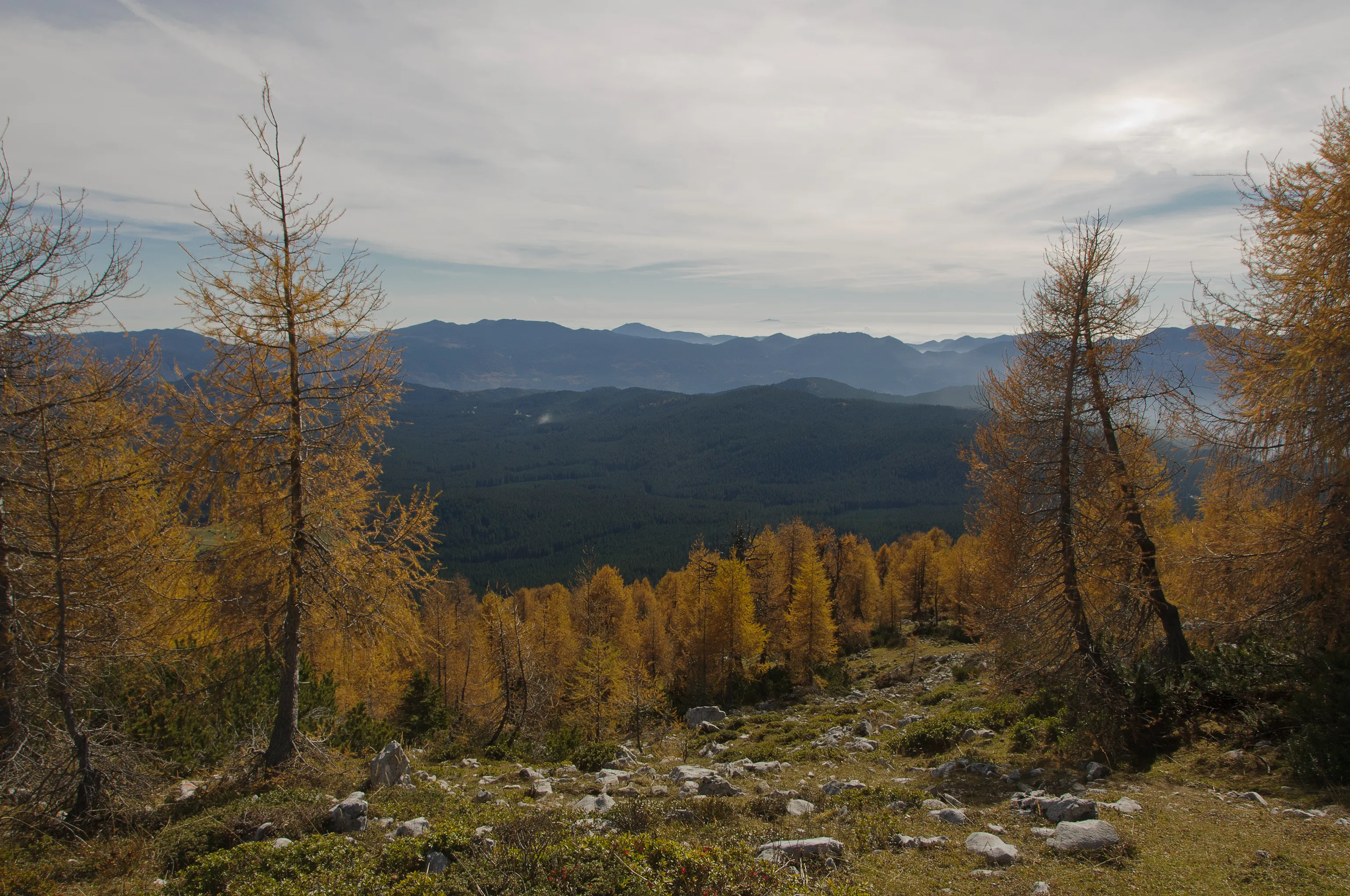 Idyllic hiking trail through alpine forest in the Julian Alps, Slovenia, with golden autumn colors – perfect for nature walks.