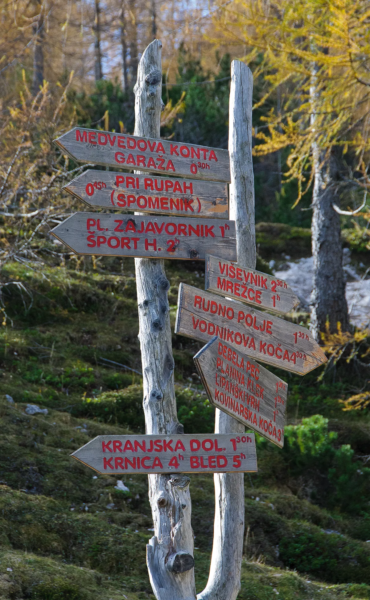 A wooden trail signpost at a hiking crossroads in the Julian Alps, Slovenia, with red and white directional signs pointing to nearby mountain huts, peaks, and villages.