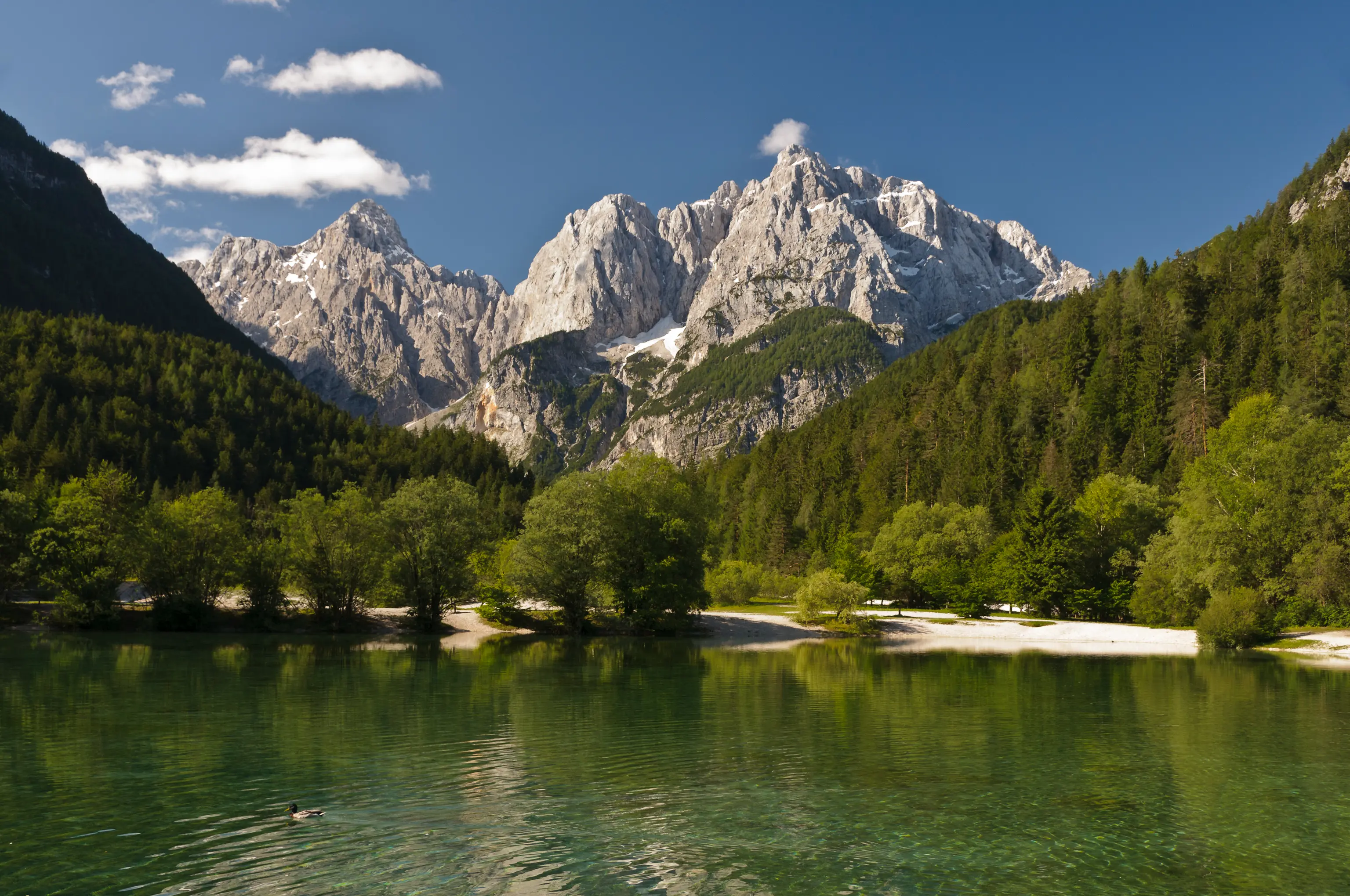 Serene alpine lake with lush green forests and towering peaks, perfect for Slovenian Alps hiking tours.