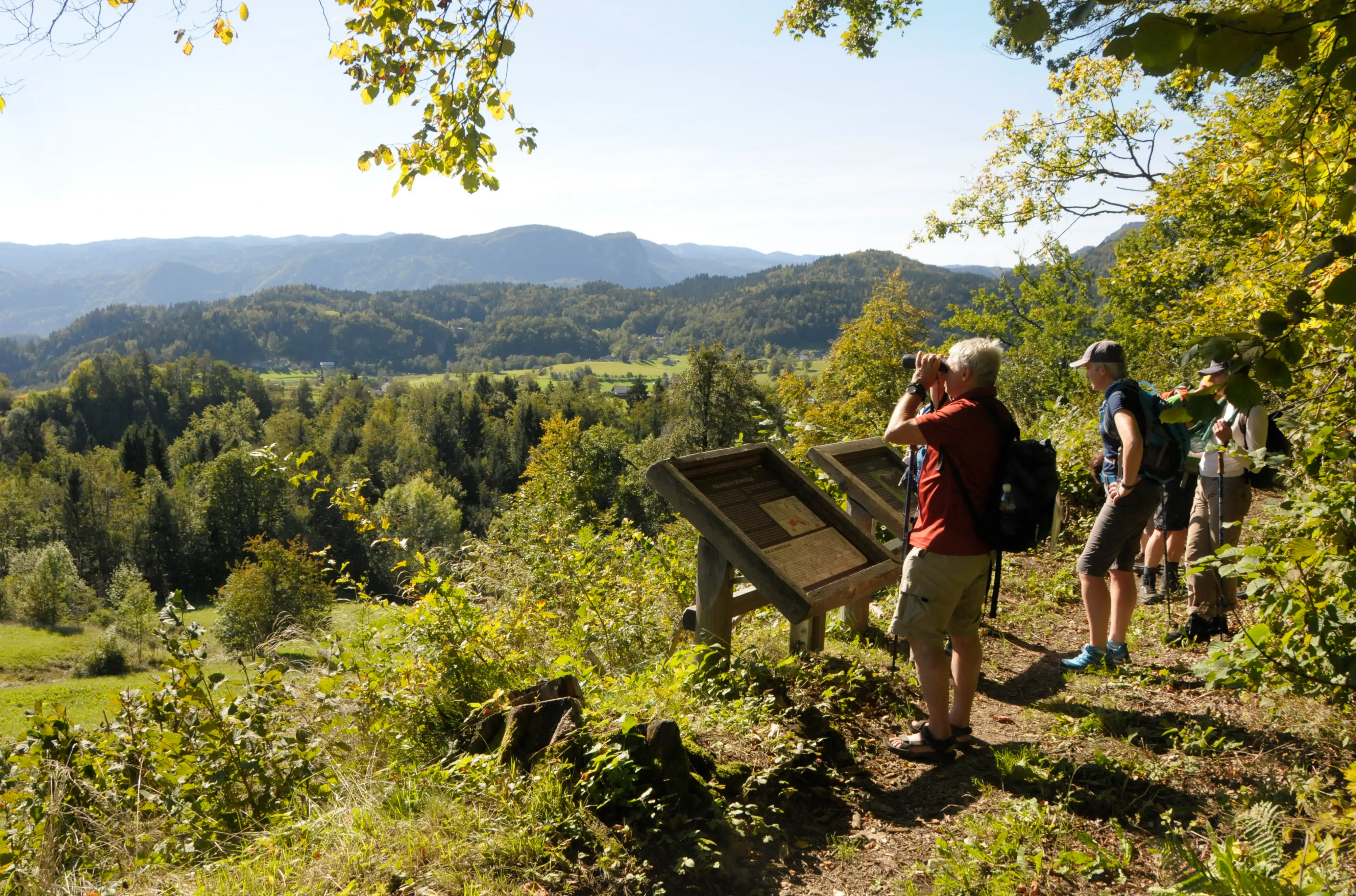 Hikers standing at a scenic overlook, reading information boards and taking in panoramic views of forests.