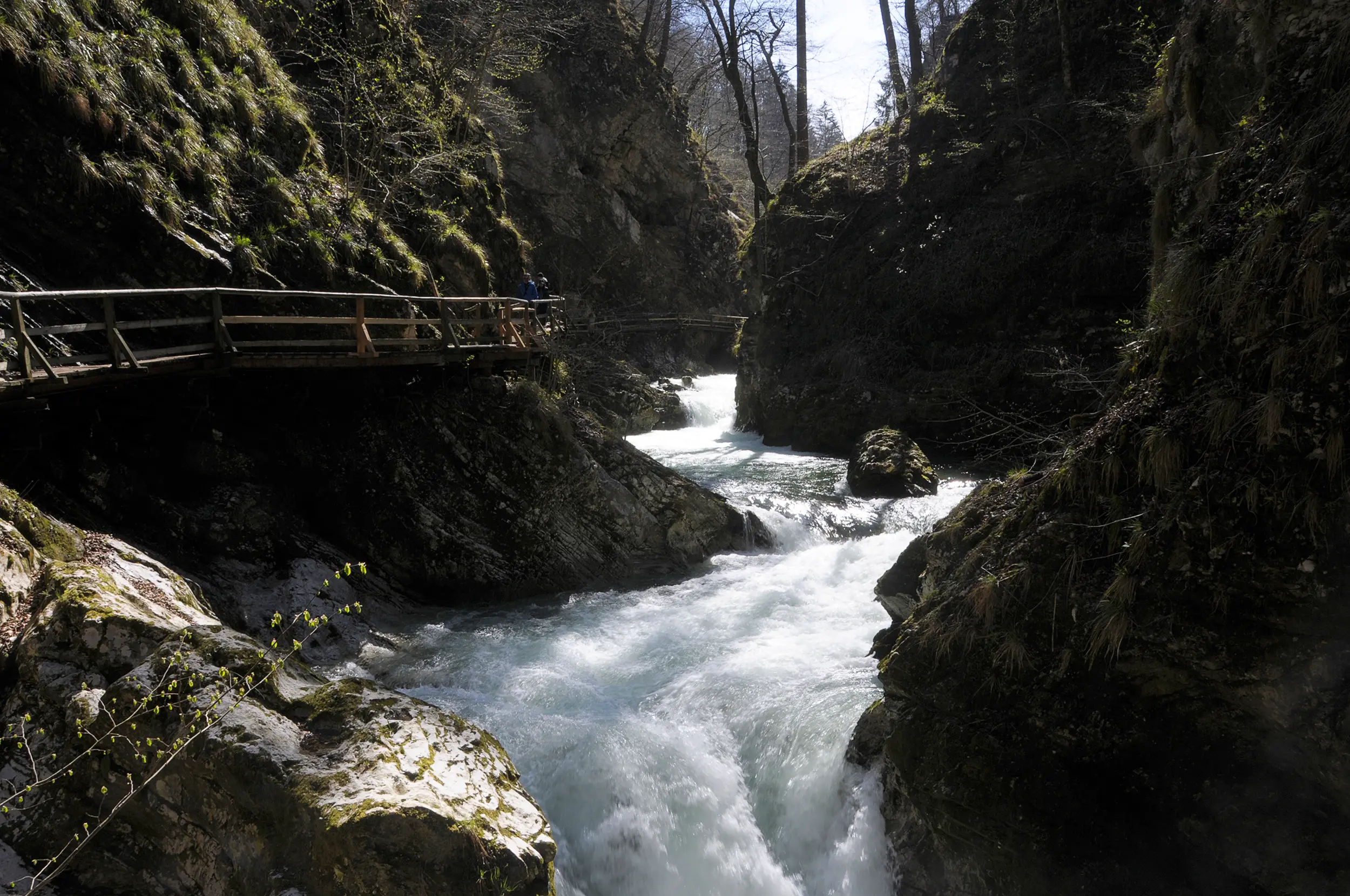 Rushing alpine river flowing through a rocky gorge, with wooden walking bridges for hikers in Slovenia.