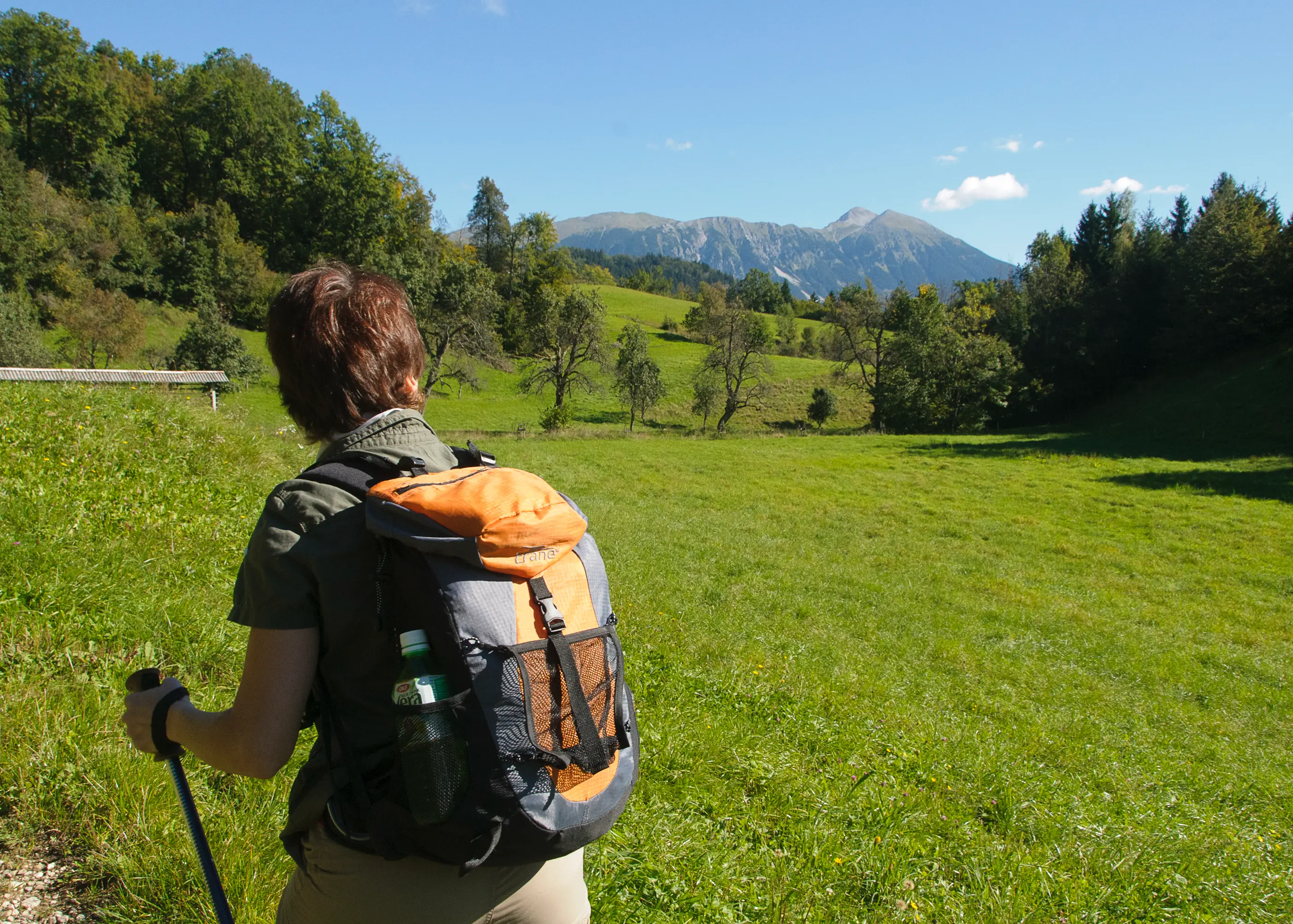Hiker with orange backpack walks through grassy meadow, with distant peaks under clear blue sky.