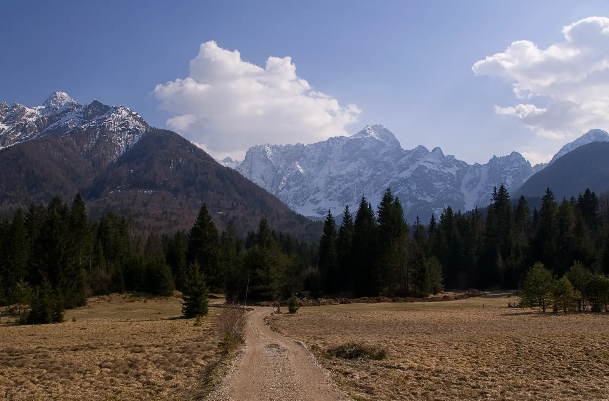 Gravel trail winds through alpine meadow, leading toward snow-capped peaks under a bright sky.