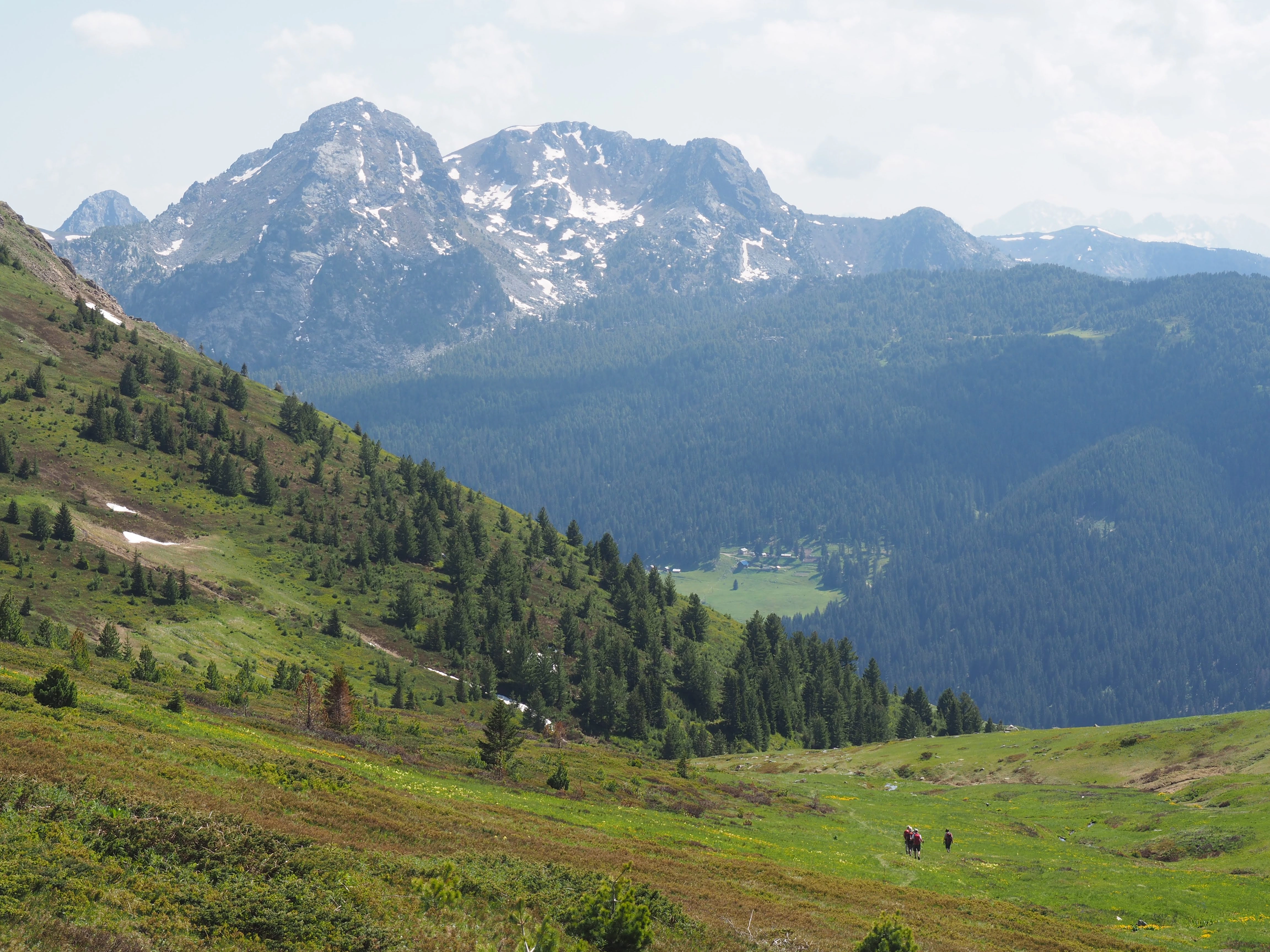 A lush green valley with distant hikers and towering snow-capped peaks in the Accursed Mountains.