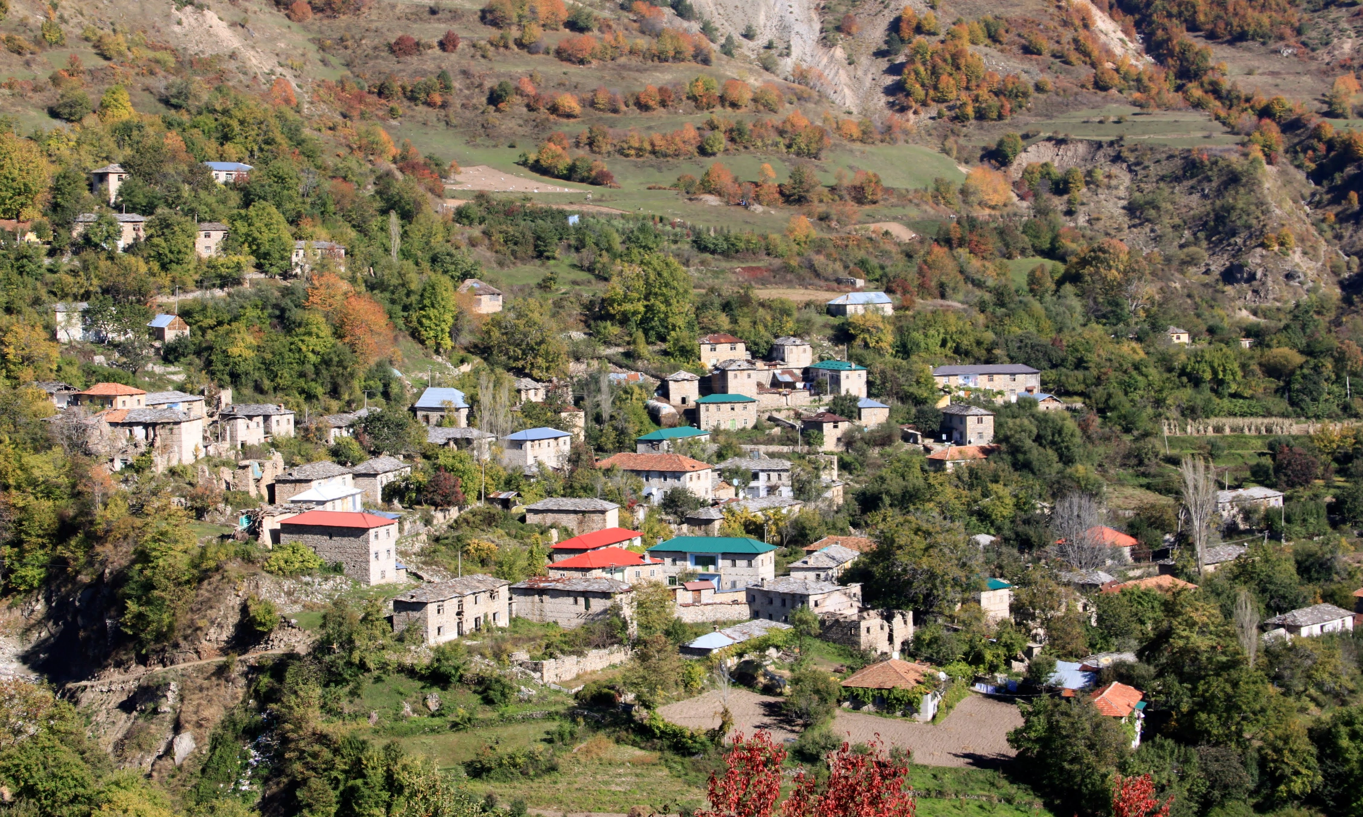 Cerjan Village – A hillside village with stone houses and colorful roofs is surrounded by autumn trees in High Scardus.