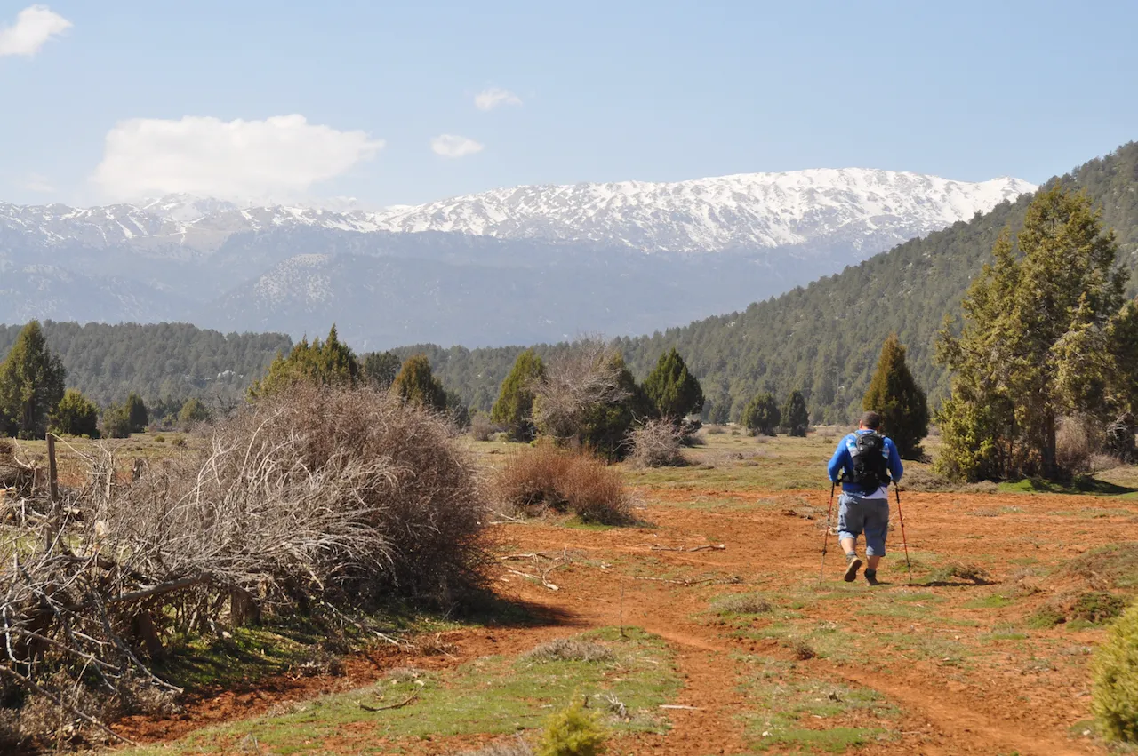 Snow-capped peaks rise beyond a hiker on a red dirt trail, surrounded by greenery on the St. Paul Trail.