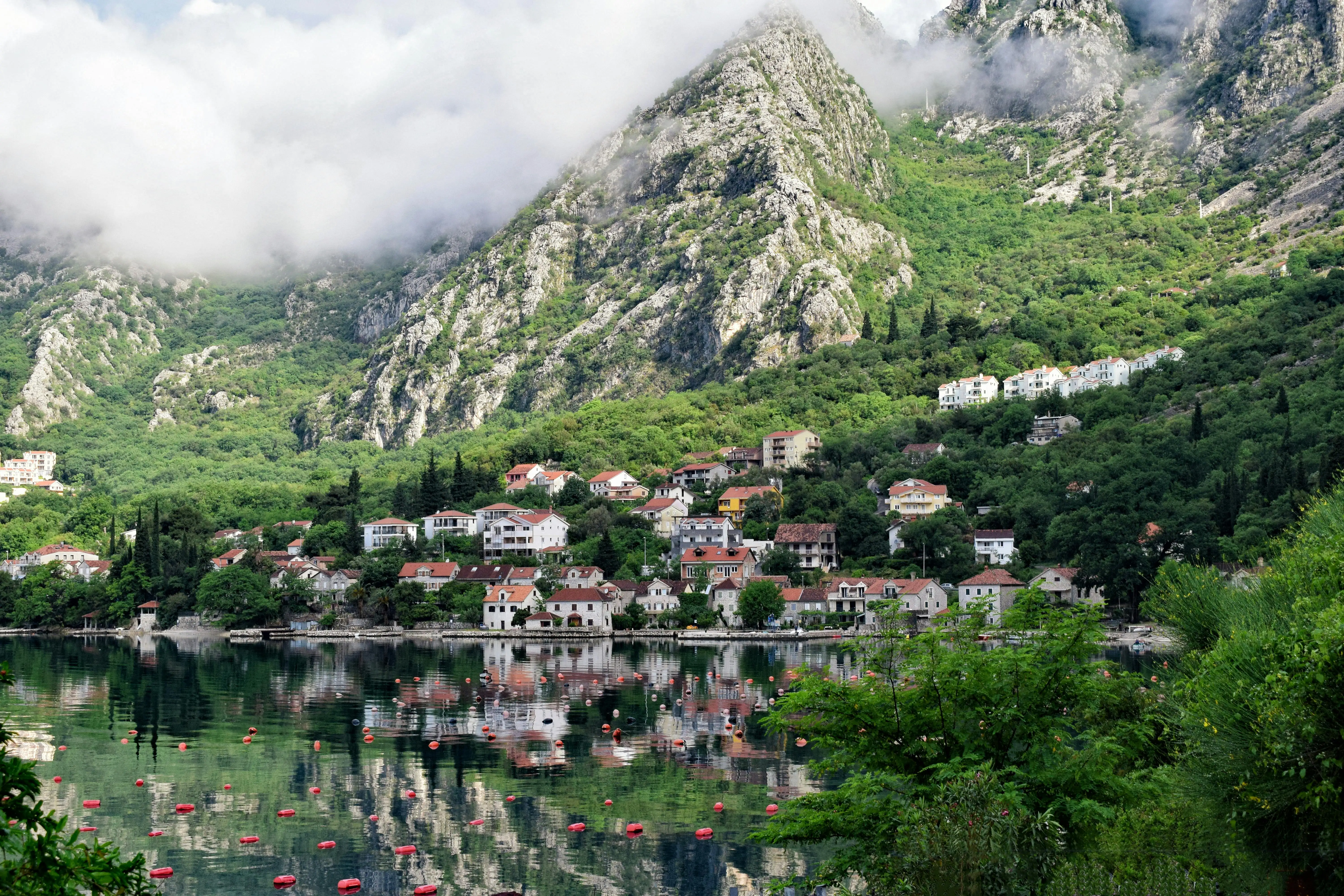 The Bay of Kotor, Montenegro, with colorful houses reflecting on the calm water, backed by steep, misty mountains.