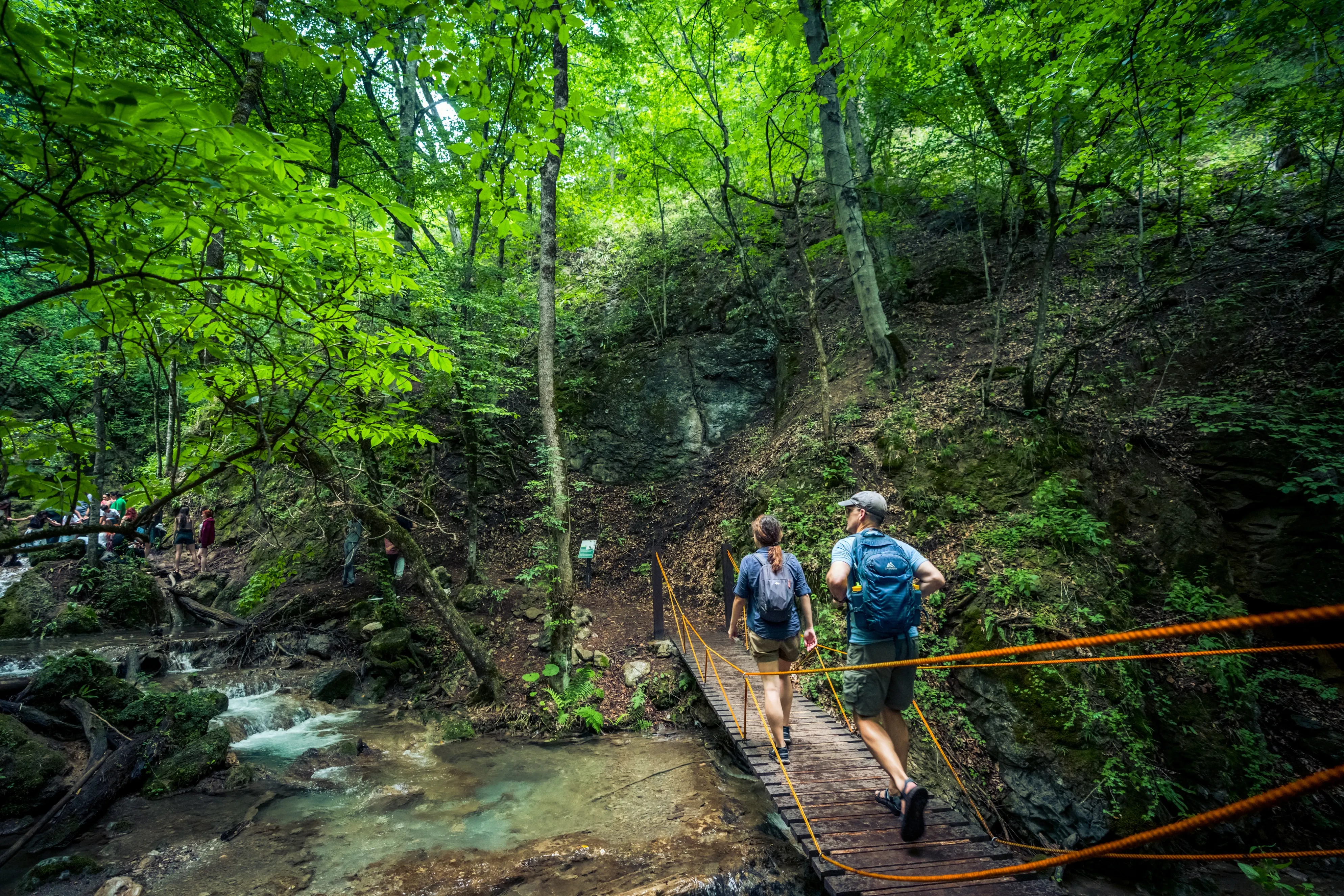 Hiking, Tavush Region, Armenia – Two hikers crossing a wooden bridge in a dense green forest in Tavush, Armenia.