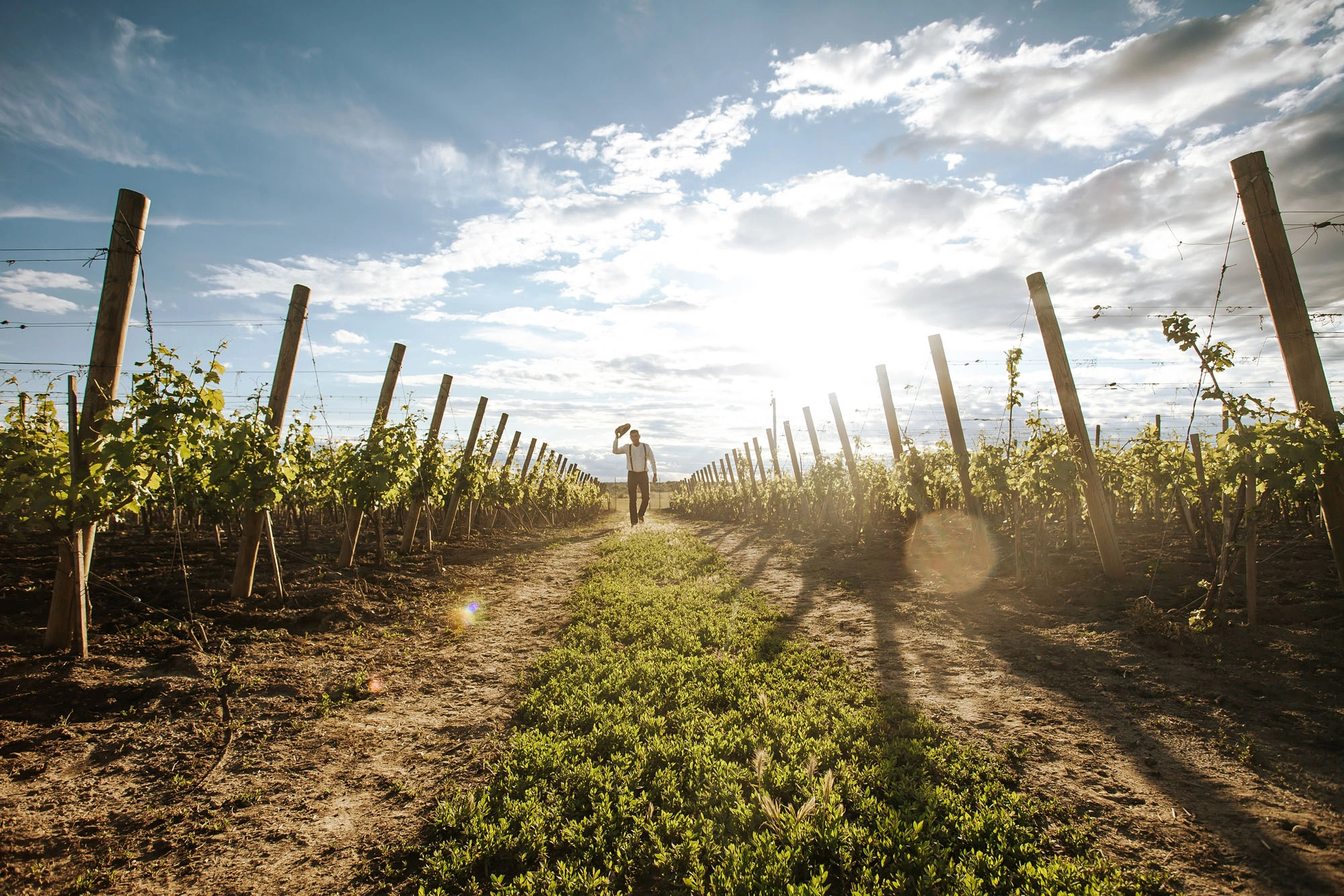 Man walking through vineyard rows at Kislov Winery during sunset in Moldova