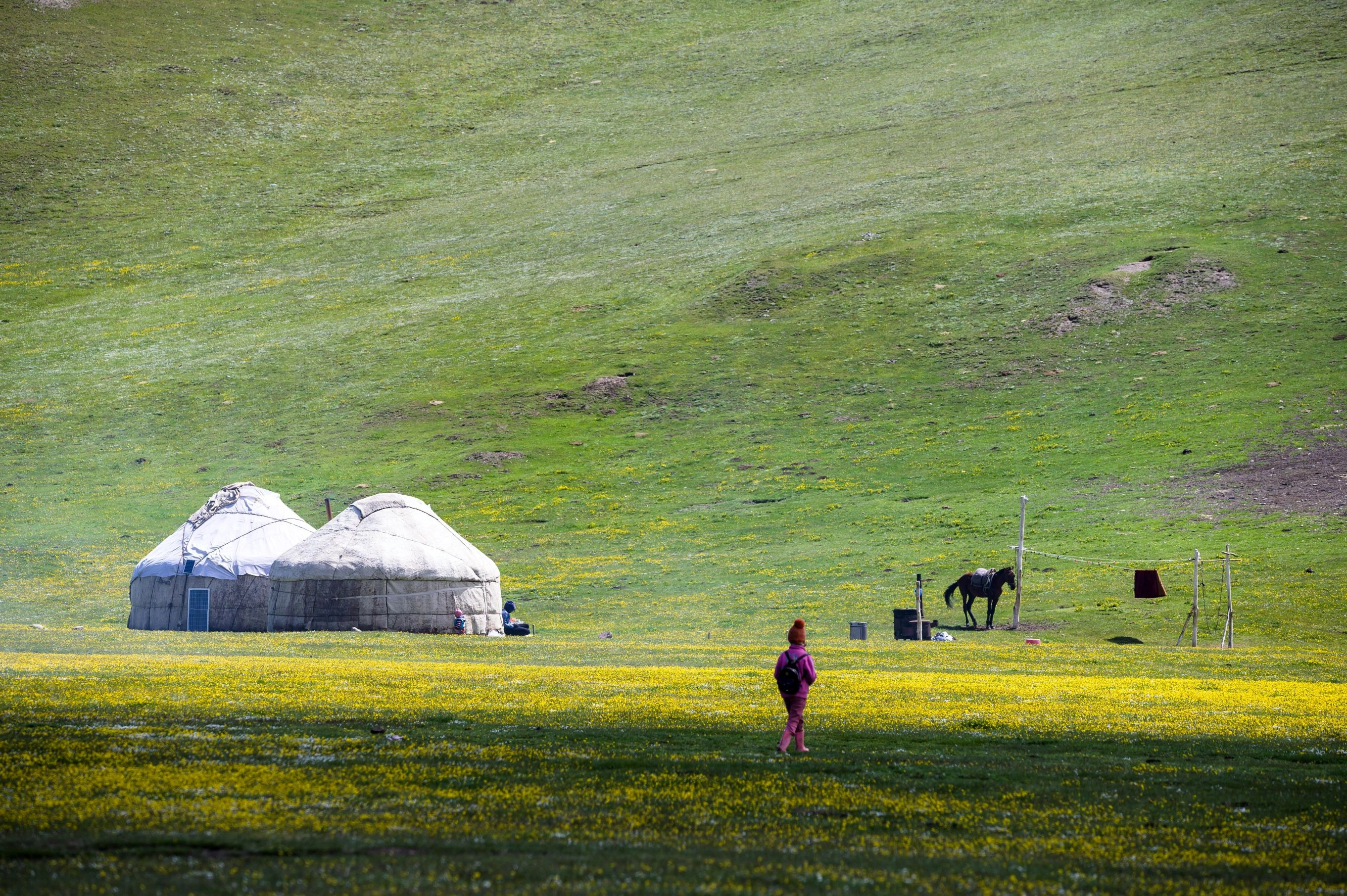Nomadic yurts on green Kyrgyz pasture with a horse and child under sunny skies.