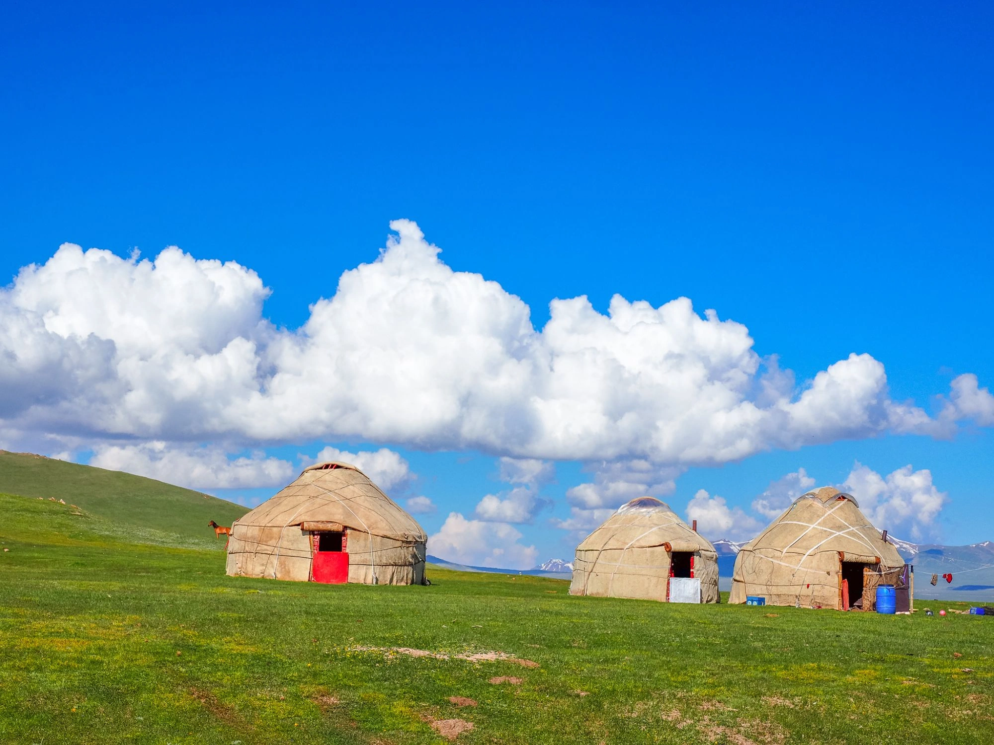 Three nomadic yurts with red doors on green plain near Song-Kul Lake in Kyrgyzstan