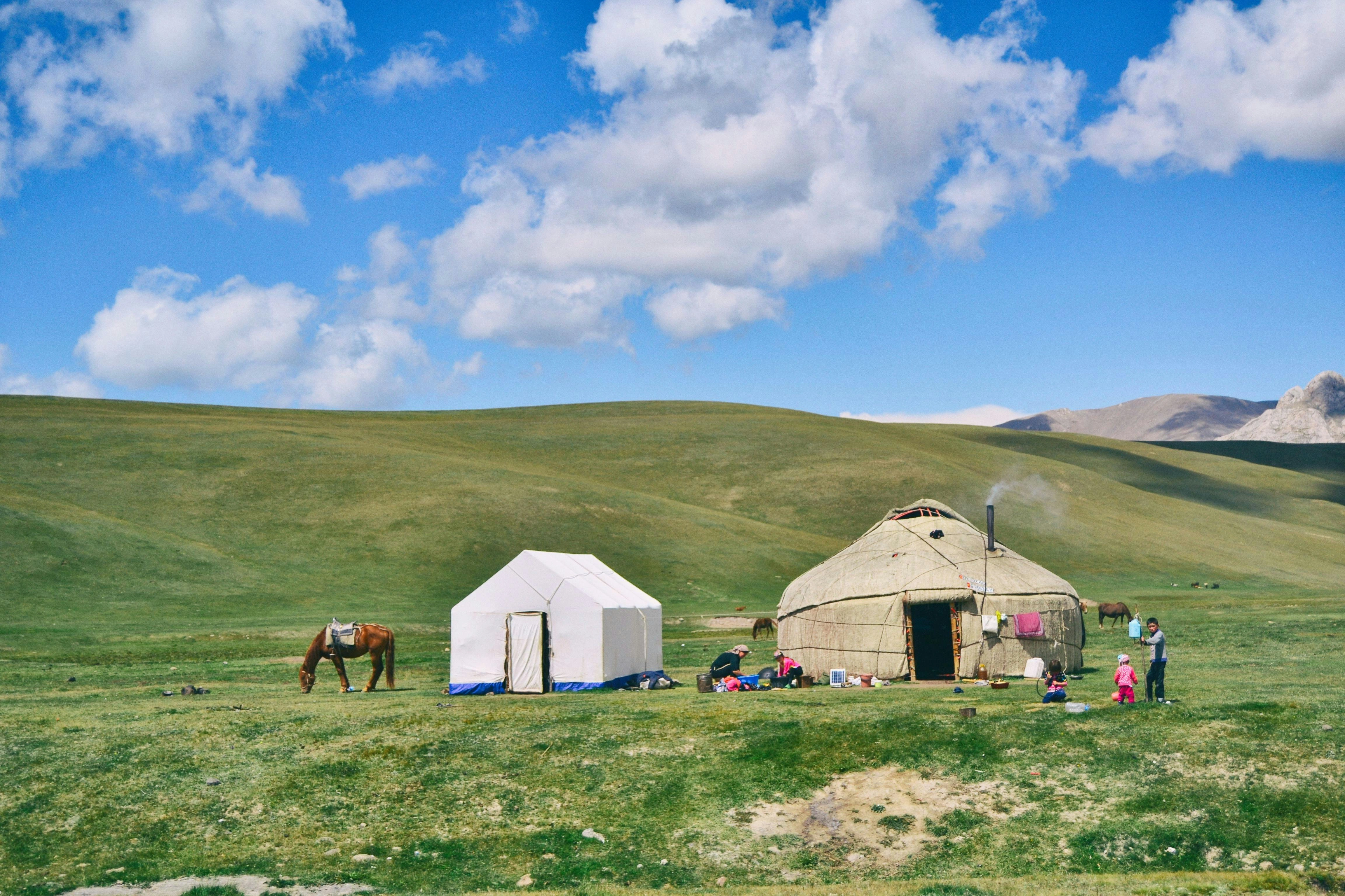 Traditional yurts and grazing horses on lush Kyrgyz steppe under a bright blue sky