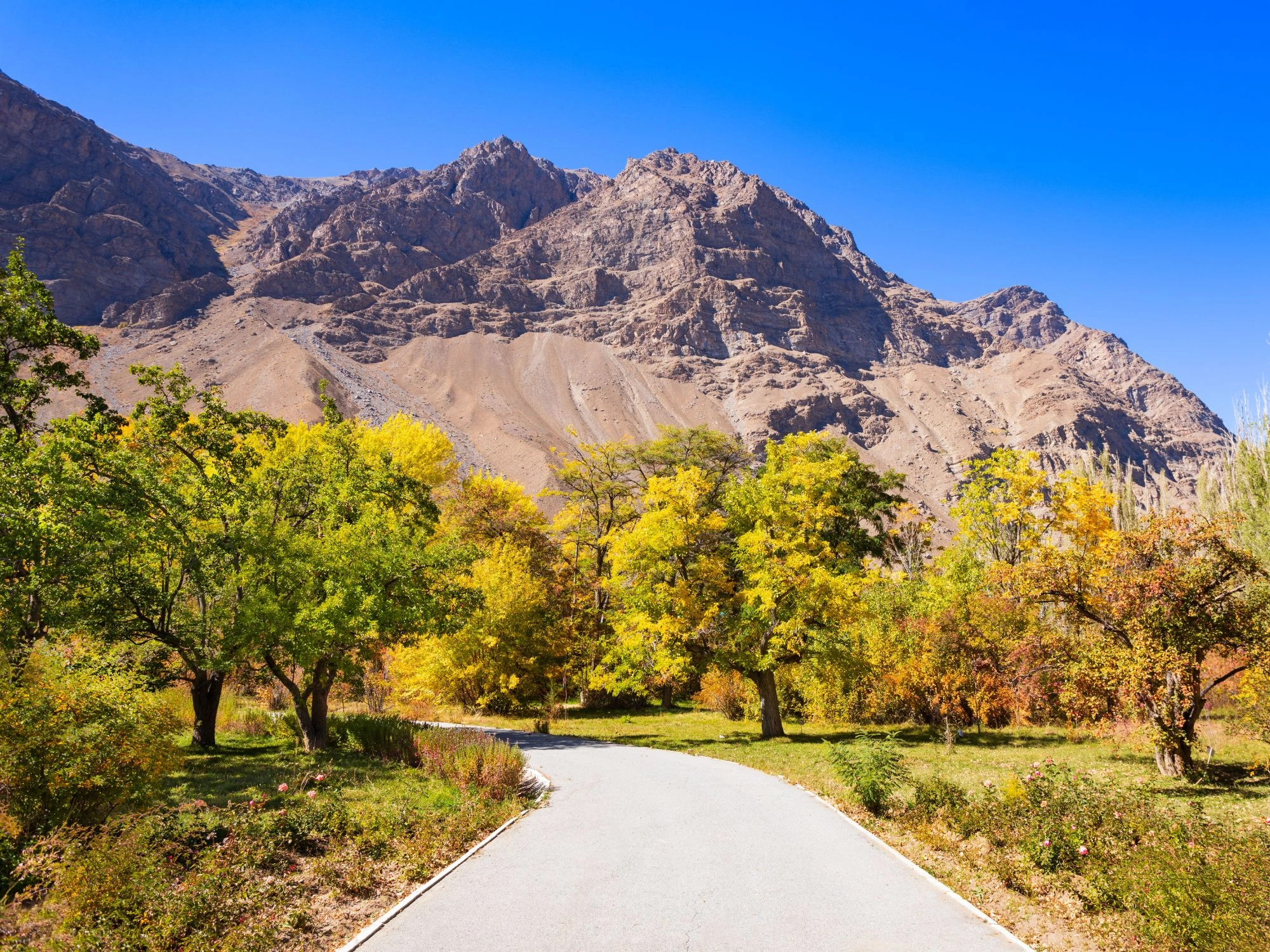 Path through Khorog Botanical Garden in Tajikistan, lined with colorful autumn trees and mountains.