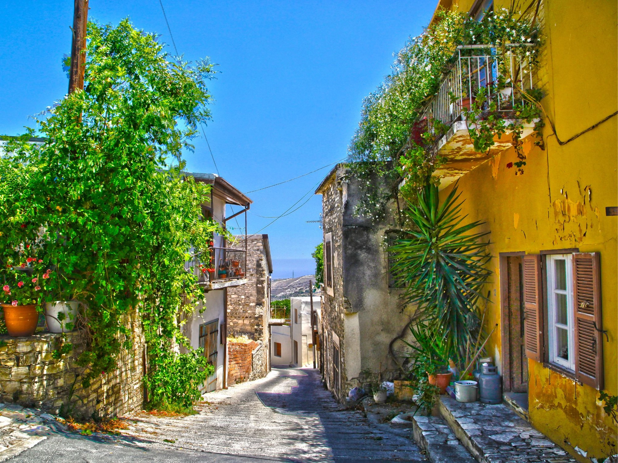 Colorful houses with lush greenery in the charming streets of Lefkara, Cyprus.