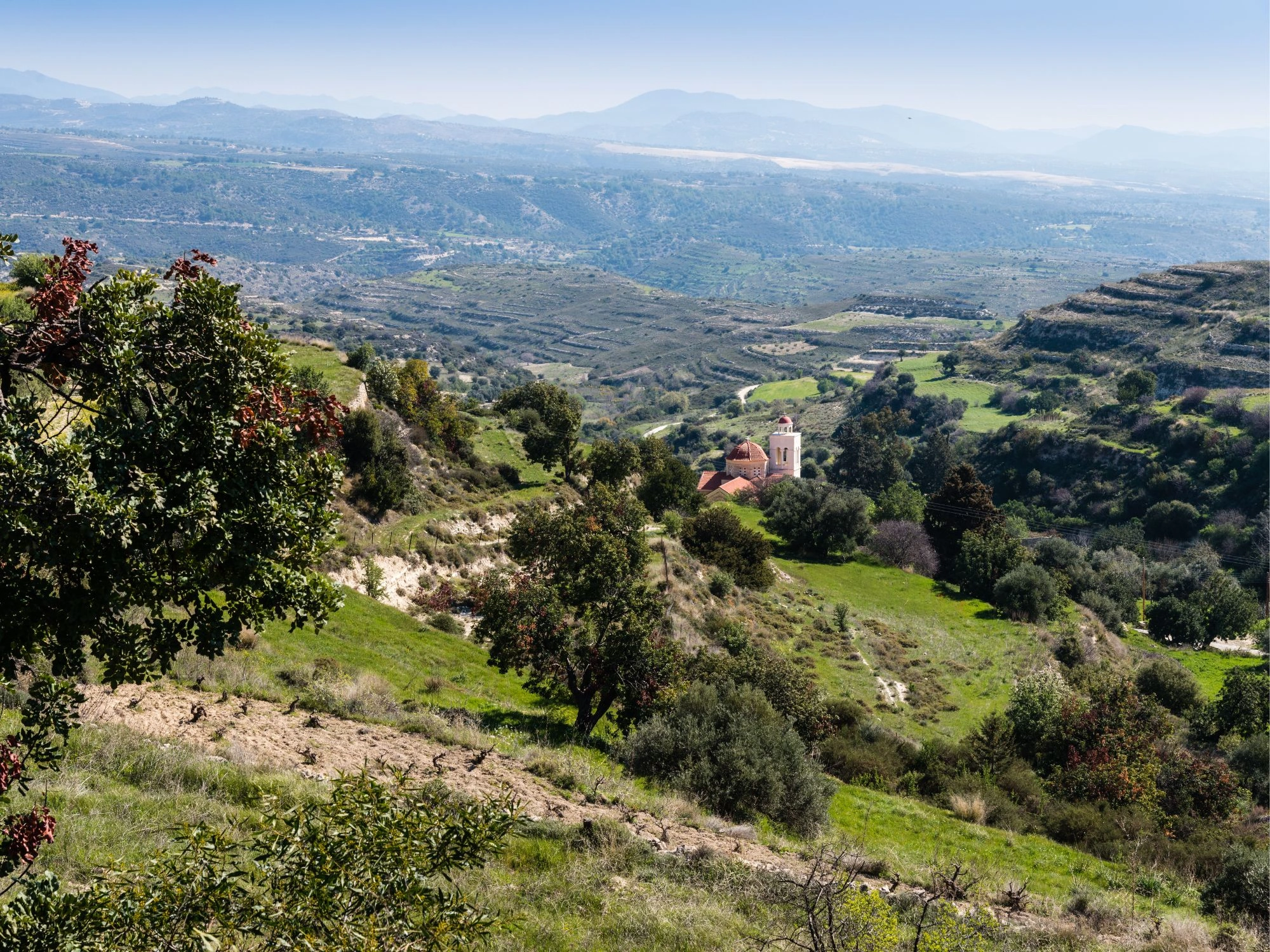 Scenic Troodos mountain landscape in Cyprus with lush forest and cloudy sky.