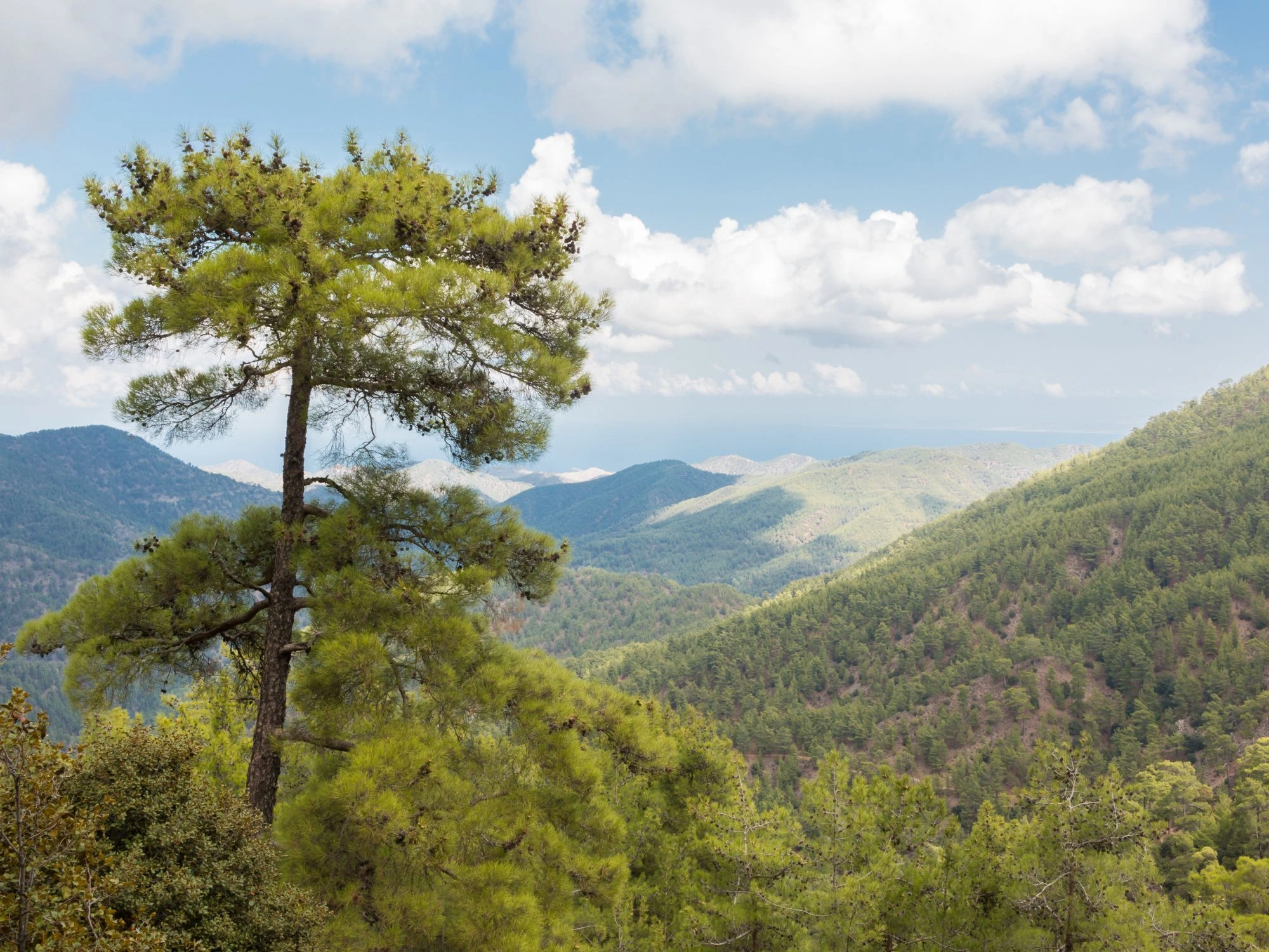 Troodos valley view with church nestled in green hills, Cyprus countryside.