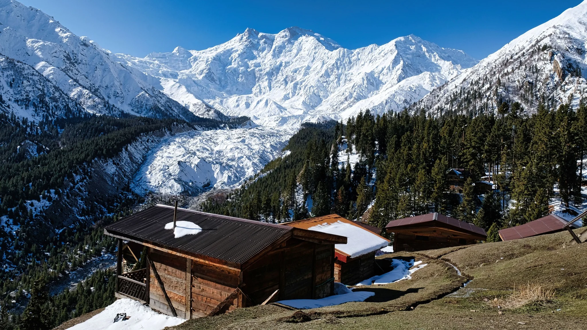 Wooden cabins at Fairy Meadows beneath snow-draped forests and mighty Nanga Parbat.