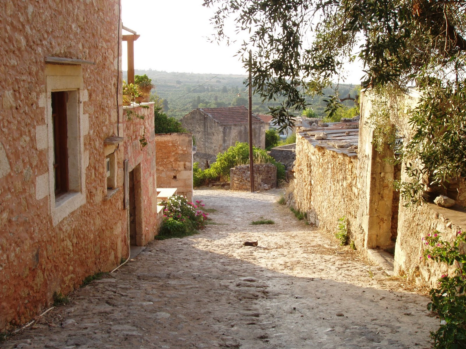www.adventurebound.travel/tours/crete-unveiled-a-self-guided-hike-through-gorges-villages-forgotten-paths