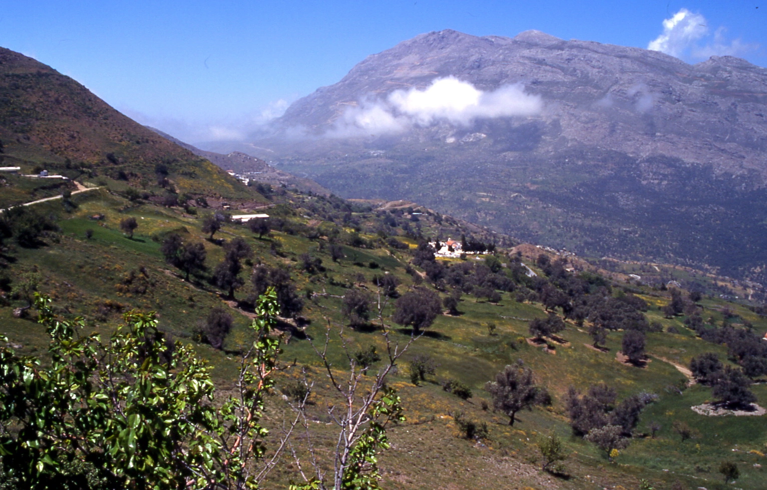 Panoramic view of Amari Valley in Crete with olive trees, scattered homes, and majestic Mount Kedros.