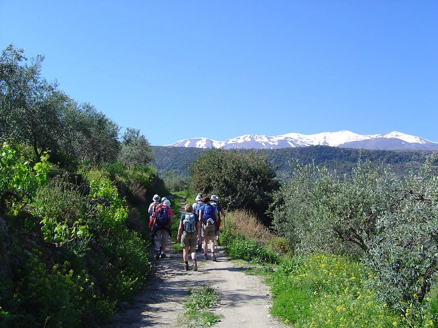 Hikers on a dirt trail with lush greenery and snow-capped mountains near Axos, Crete.