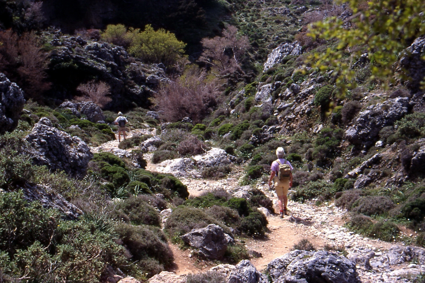 Hikers descend narrow herb-lined trail in southern Crete, surrounded by wild terrain and rocky ridges.