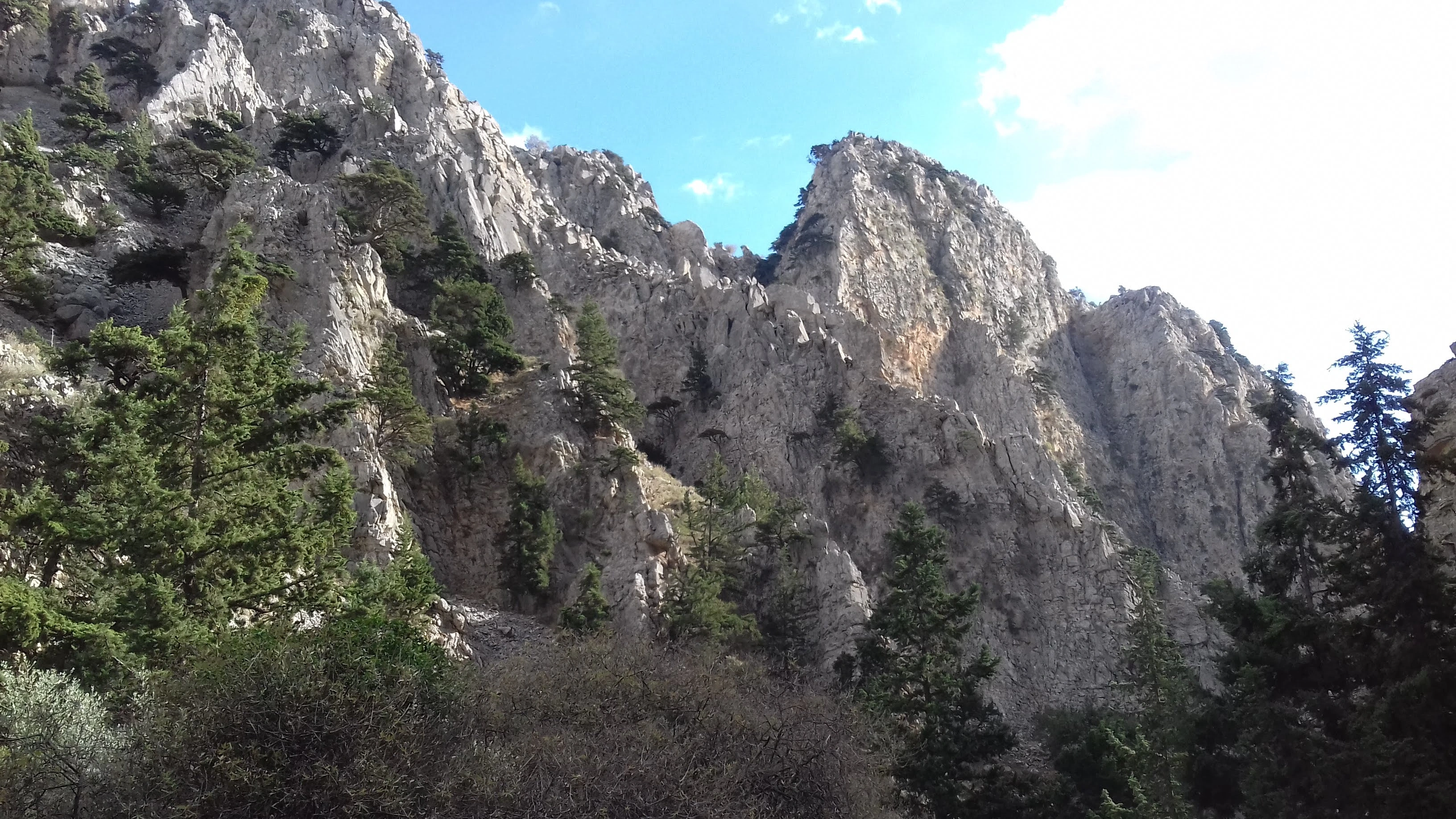 Jagged high cliffs with sparse pine trees in a rocky mountain gorge under blue sky.