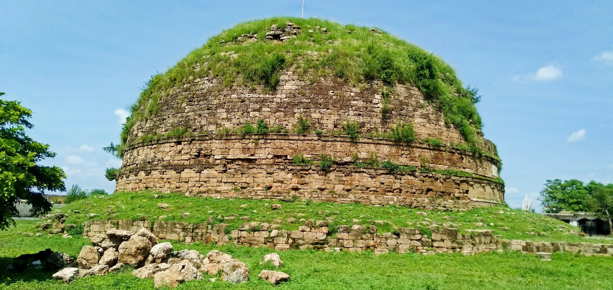 Mankiala Stupa in Rawalpindi, ancient Buddhist monument covered in green grass.