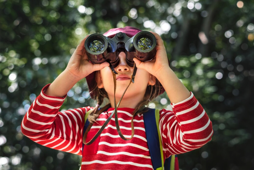 The Road Ahead: Curiosity as a Compass