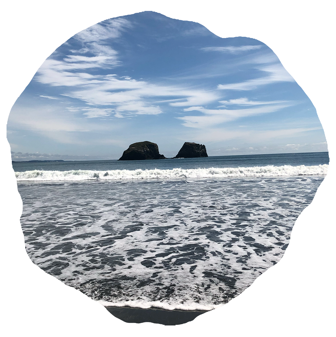 A bottle of wine with a zebra pattern on it.