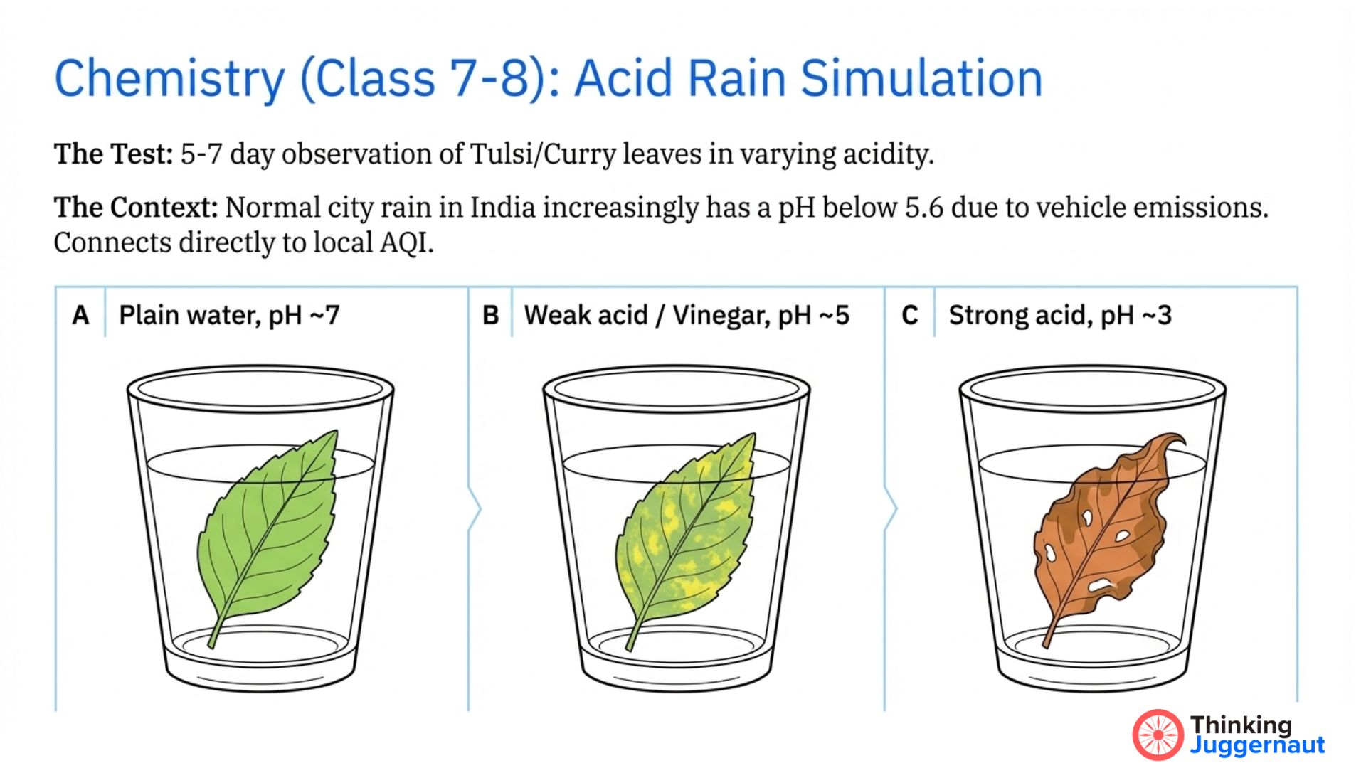 Illustration of an acid rain simulation showing Tulsi/Curry leaves in three glasses of liquid: plain water (pH ~7) with a healthy green leaf, weak acid/vinegar (pH ~5) with a leaf showing yellow spots, and strong acid (pH ~3) with a brown, damaged leaf.