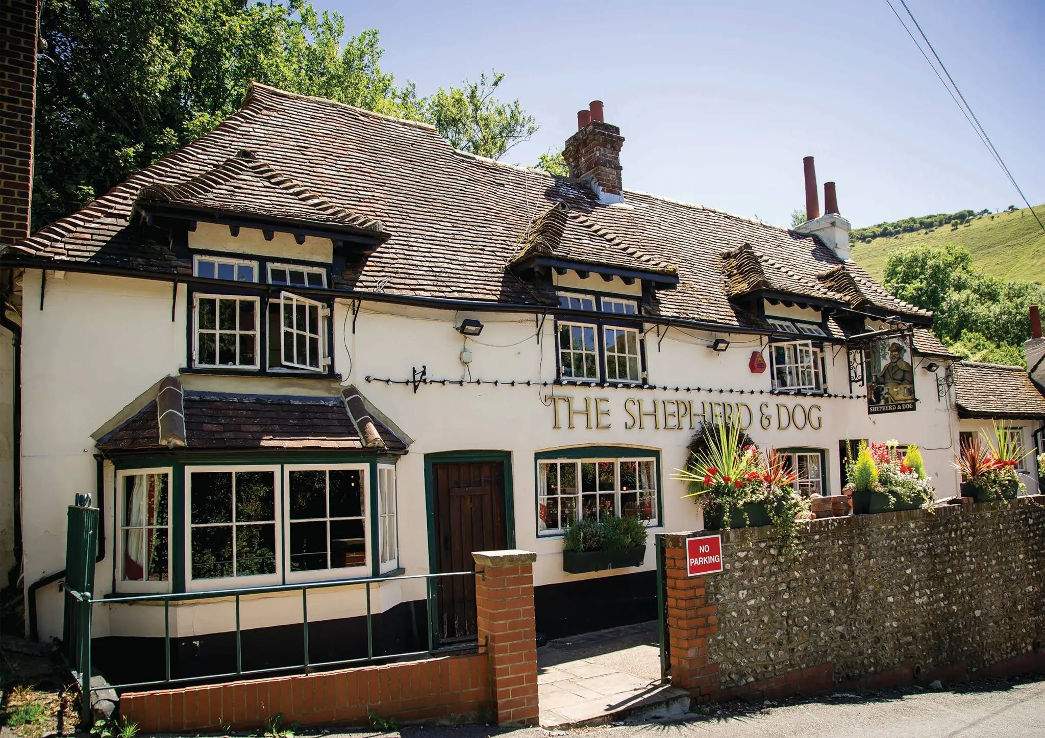 Shep and Dog Fulking