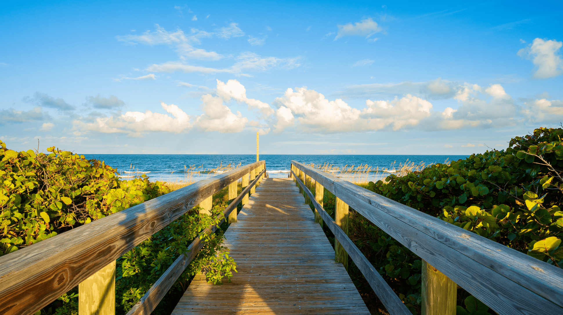 Williams Consulting Group on Florida's Space Coast