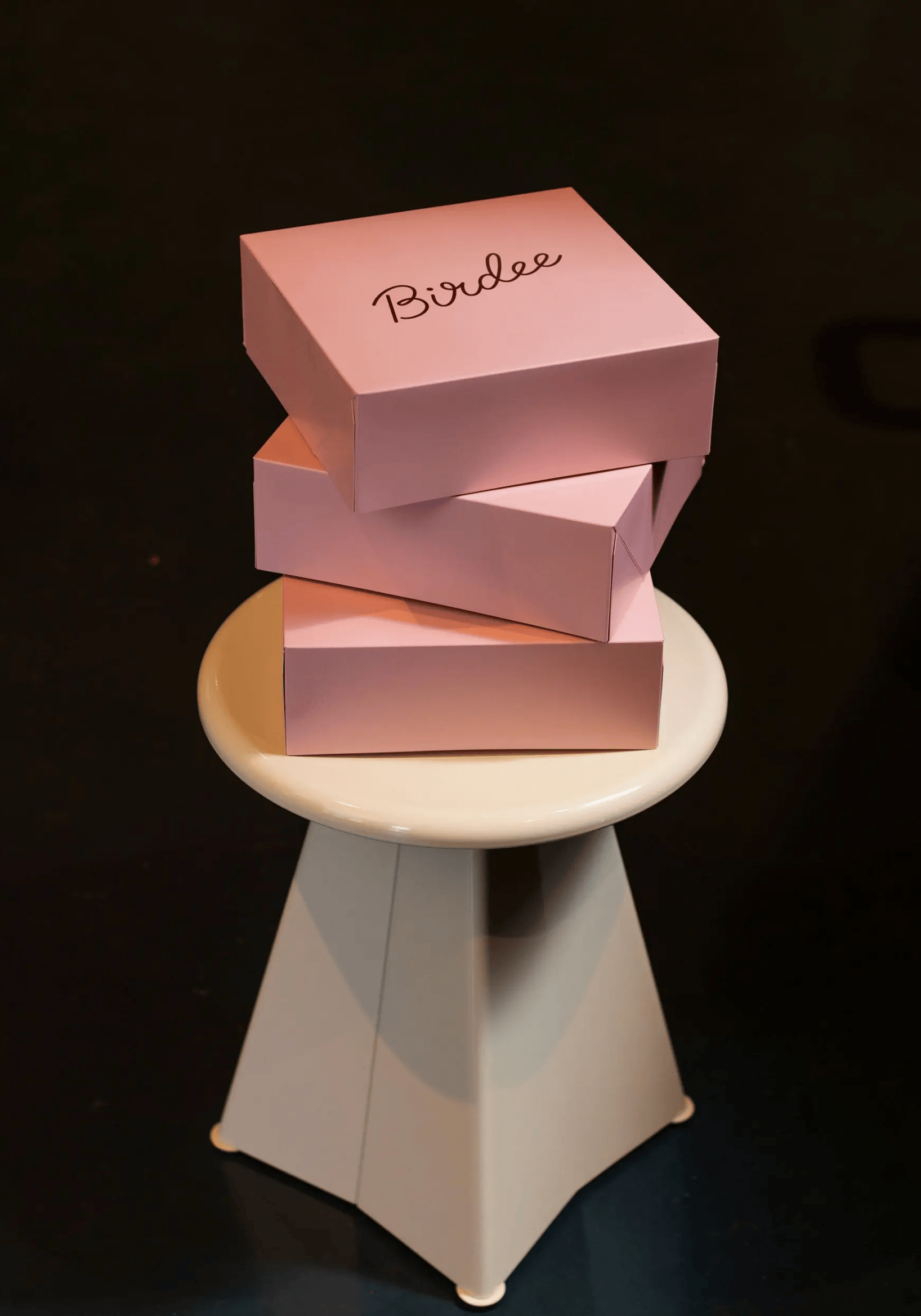 mockup of pink takeout boxes with Birdee logo