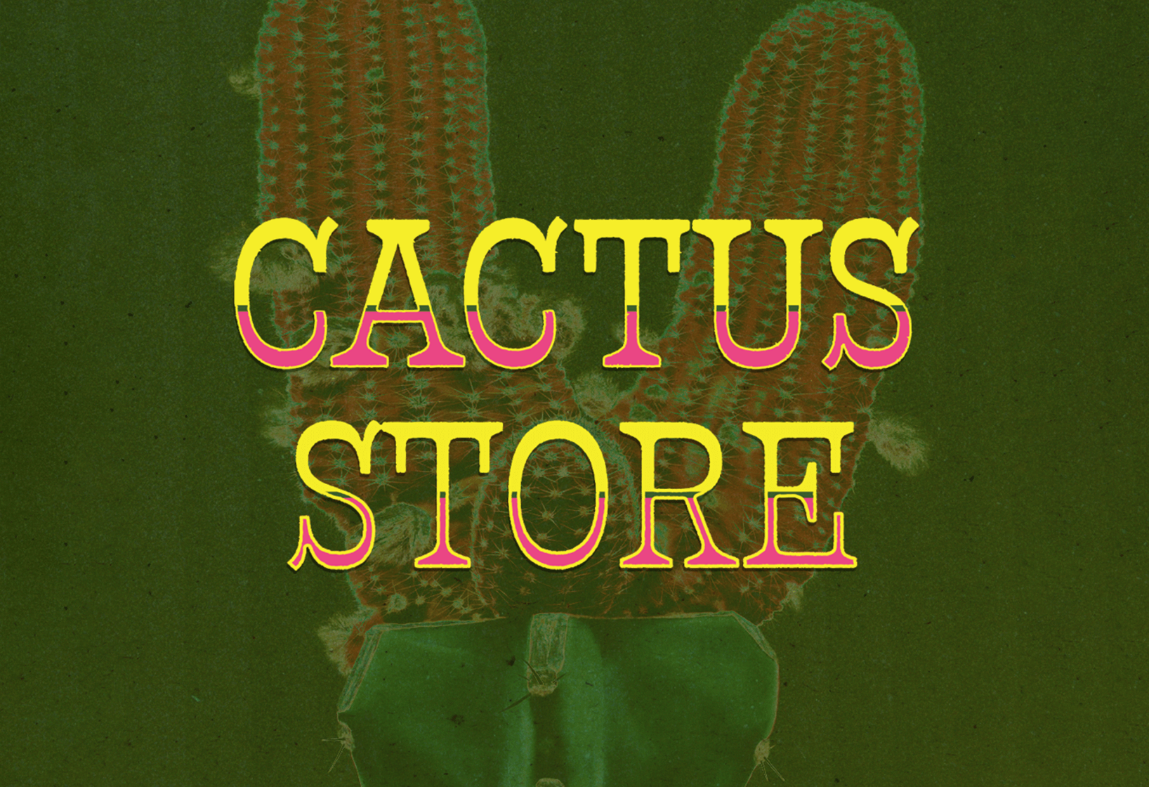 Cactus store logo imposed over image of a cactus