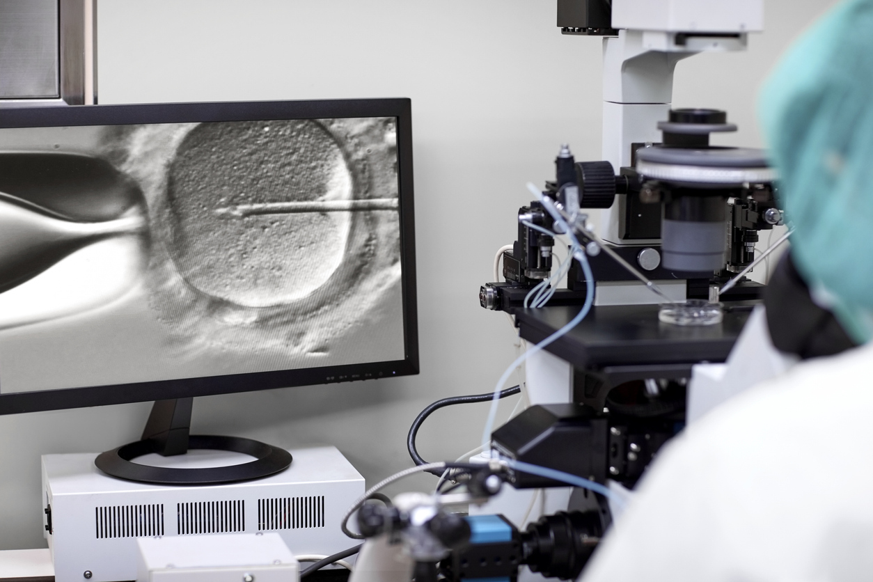 sperm microinjection in the fertility laboratory