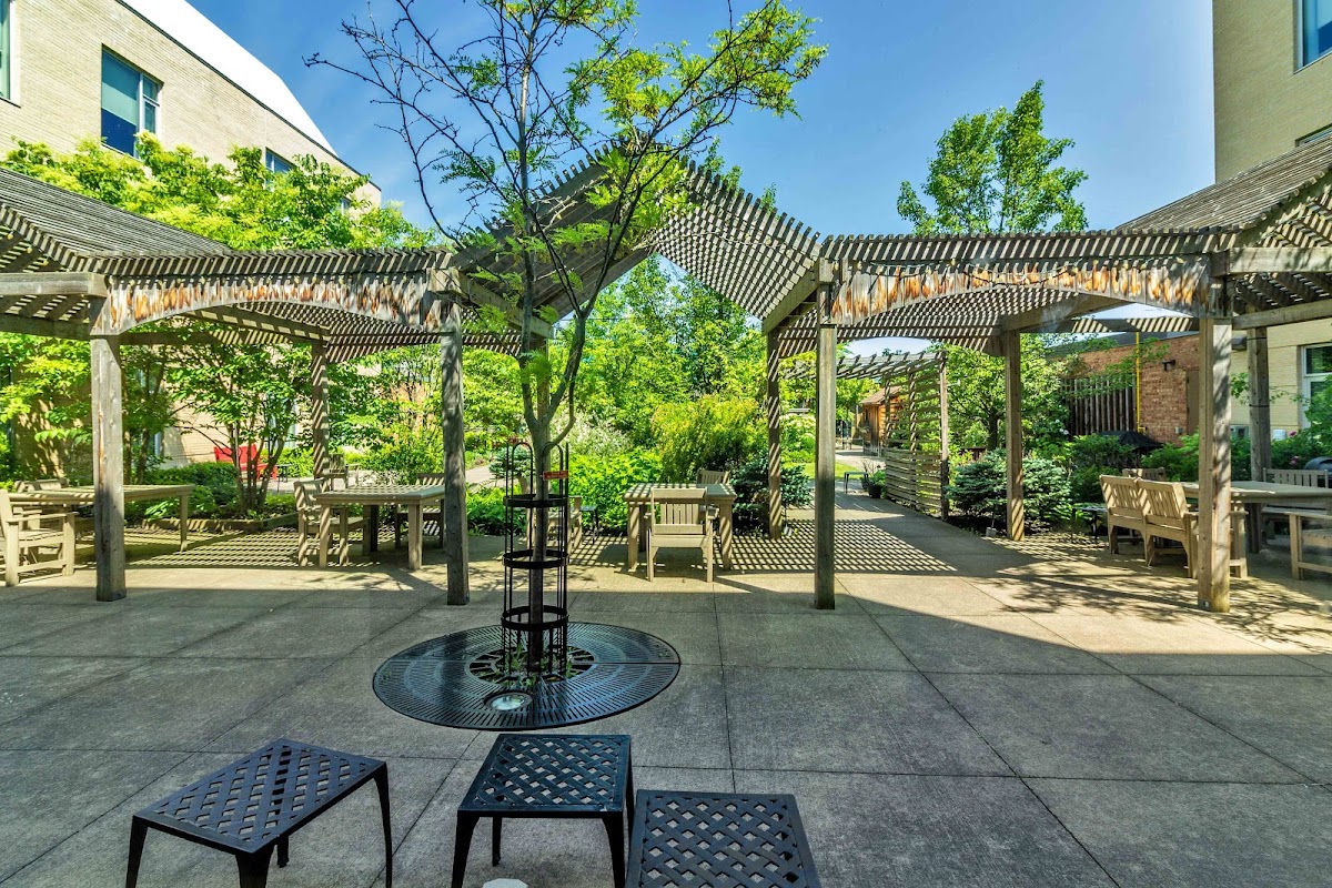 Outdoor patio with wooden pergolas, tables, chairs, and greenery under clear blue sky.