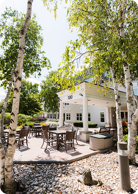 Outdoor patio with tables and chairs surrounded by birch trees and greenery in front of a modern building.