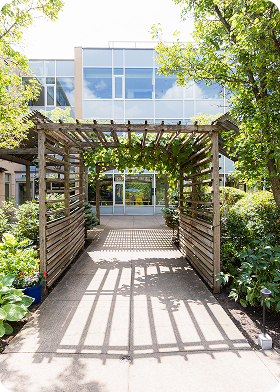 Wooden pergola with leafy vines casting shadows over a concrete path leading to a modern glass building entrance.