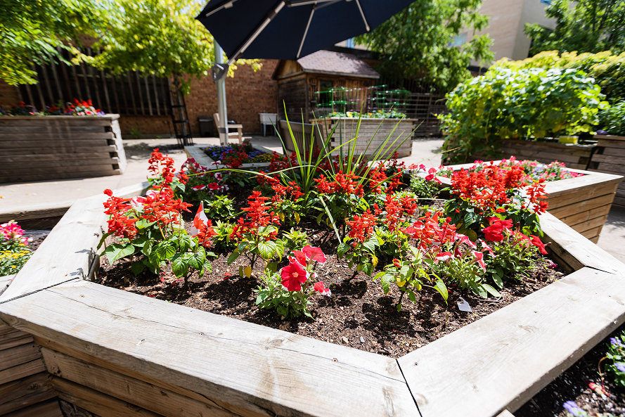 Hexagonal wooden planter filled with red flowers and green plants in a sunny outdoor garden area.