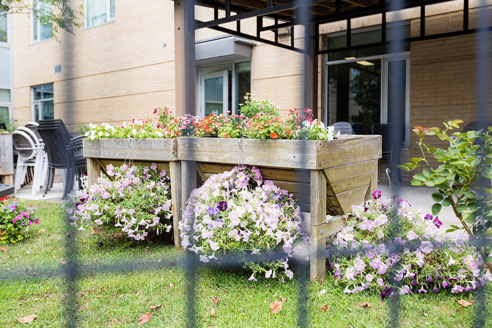 Wooden planter box with diverse colorful flowers in a garden outside a brick building.