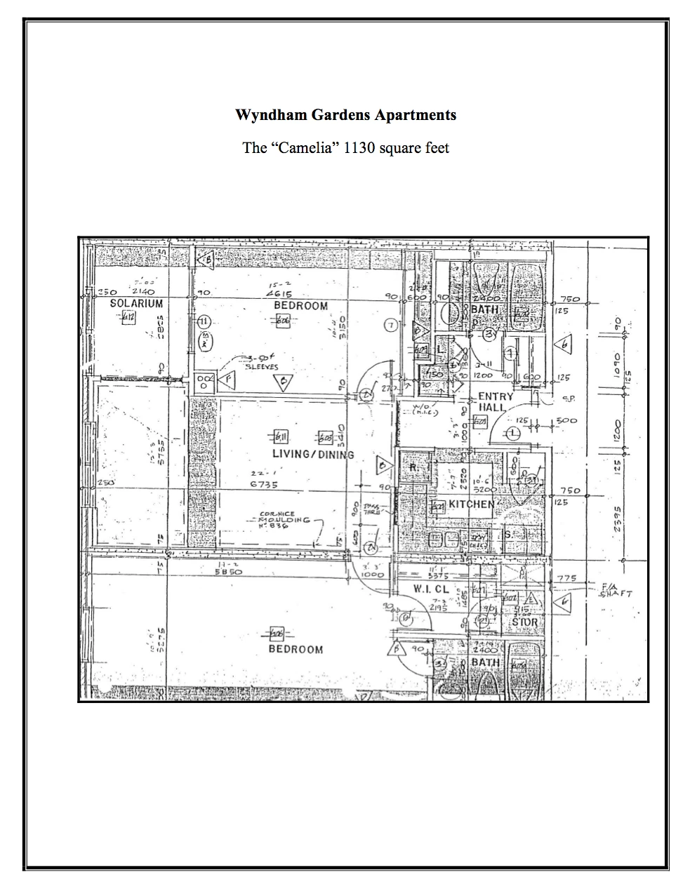 Black and white floor plan of Wyndham Gardens Apartments 'Camelia' layout, showing two bedrooms, living/dining area, kitchen, two bathrooms, solarium, entry hall, walk-in closet, and storage.