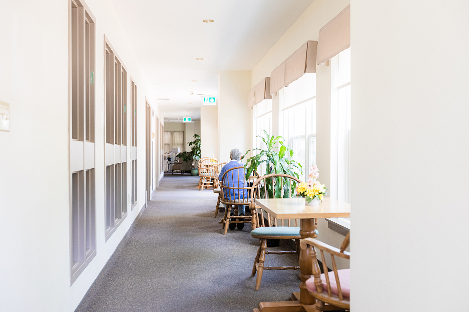 A quiet, well-lit hallway with tables, chairs, plants, and a person sitting facing away near the windows.