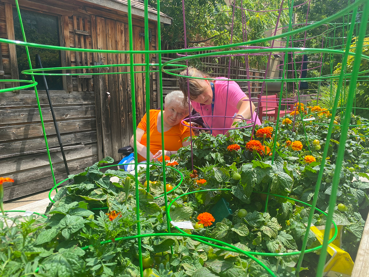 Two women tending to a garden with green-leafed plants and orange flowers, one seated and wearing an orange shirt, the other standing and wearing a pink shirt.