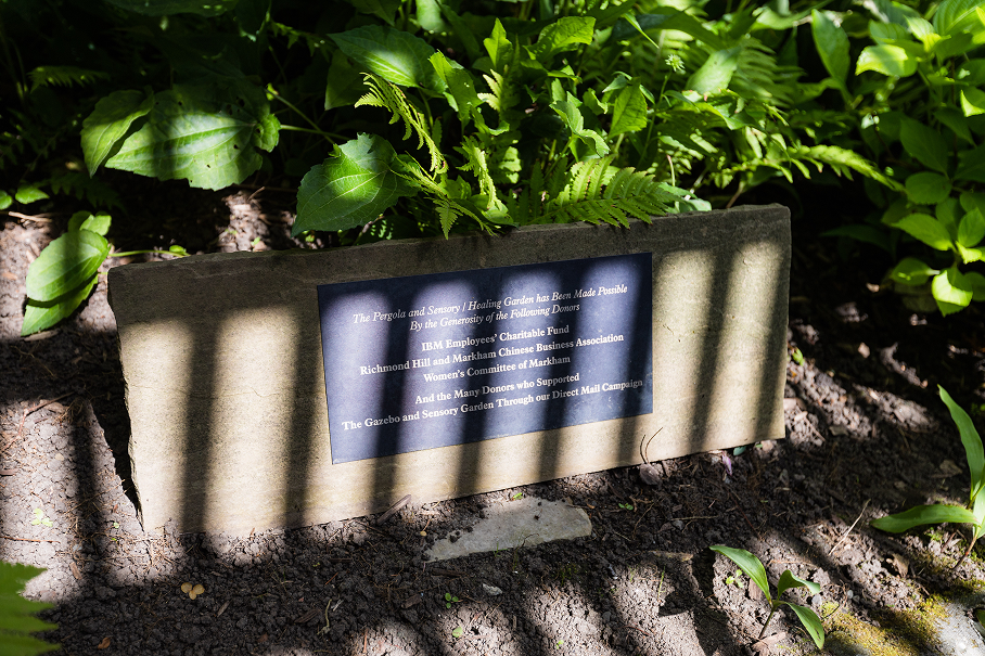 Stone plaque in a garden acknowledging donors who made the Pergola and Sensory Healing Garden possible, surrounded by green plants with shadows across it.