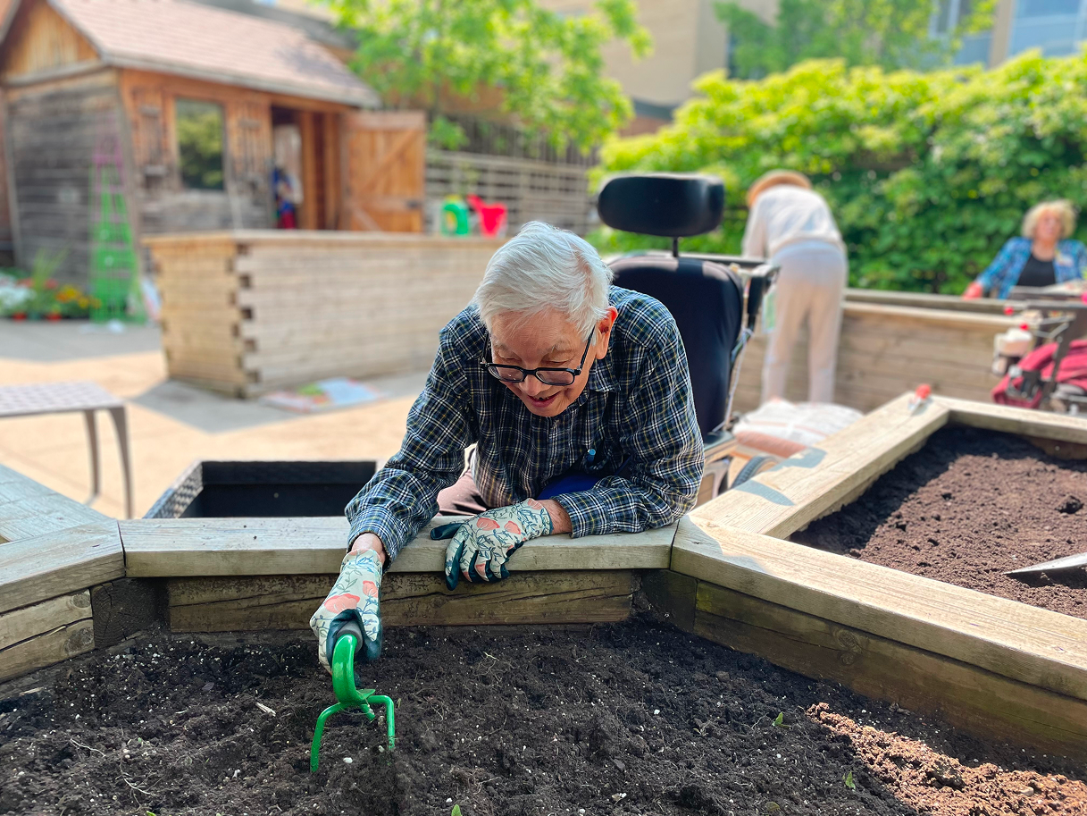Elderly person wearing floral gardening gloves using a hand rake to work soil in a raised garden bed outdoors.