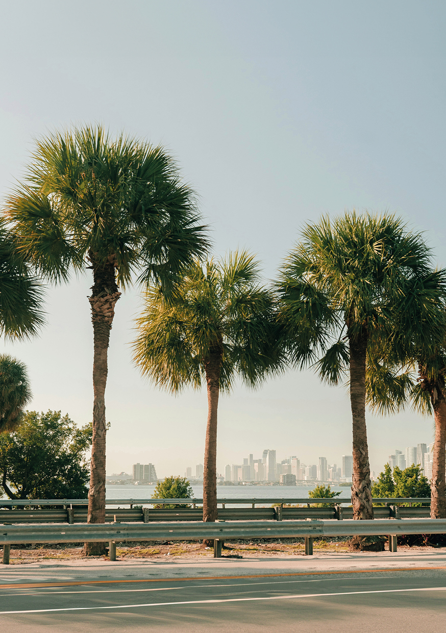 Palmiers et vue sur la skyline de Miami en Floride. Paysage urbain et tropical d’un road trip aux États-Unis avec Beaux Périples