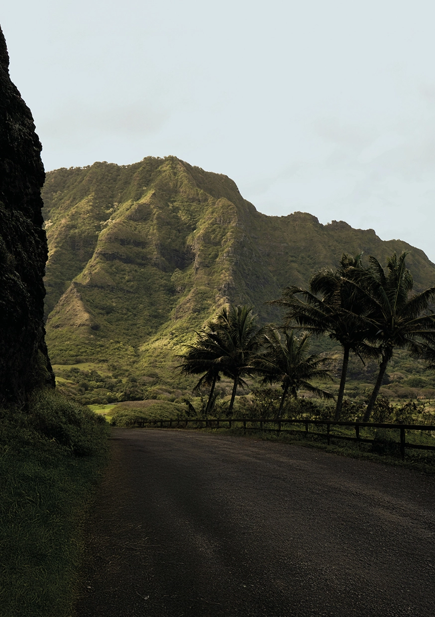 Route bordée de palmiers et montagnes verdoyantes à Hawaï. Décor exotique et luxuriant d’un road trip sur les îles Oahu et Maui avec Beaux Périples